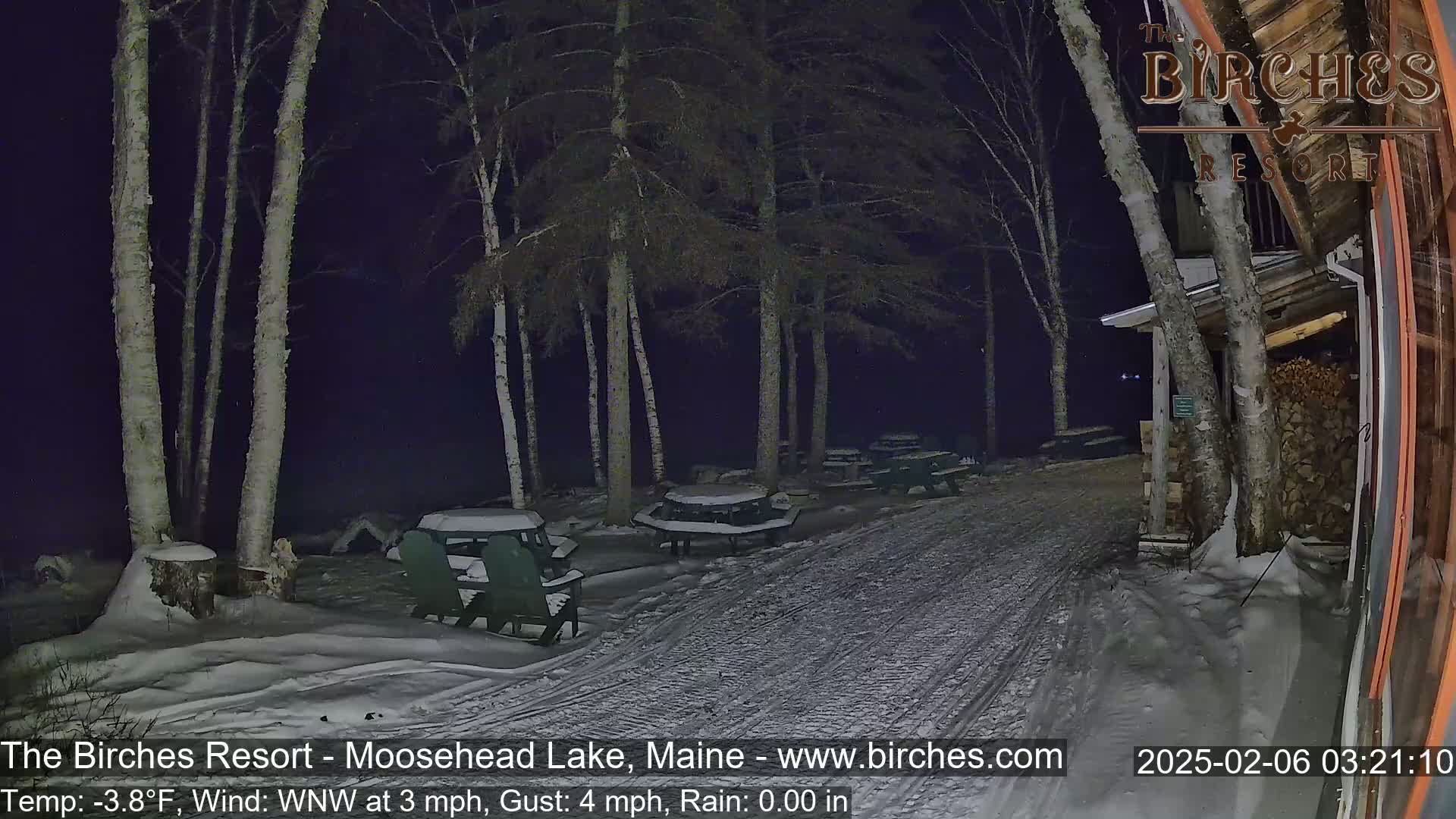 A snow-covered path at night leads to a building and several snow-covered picnic tables under birch trees.
