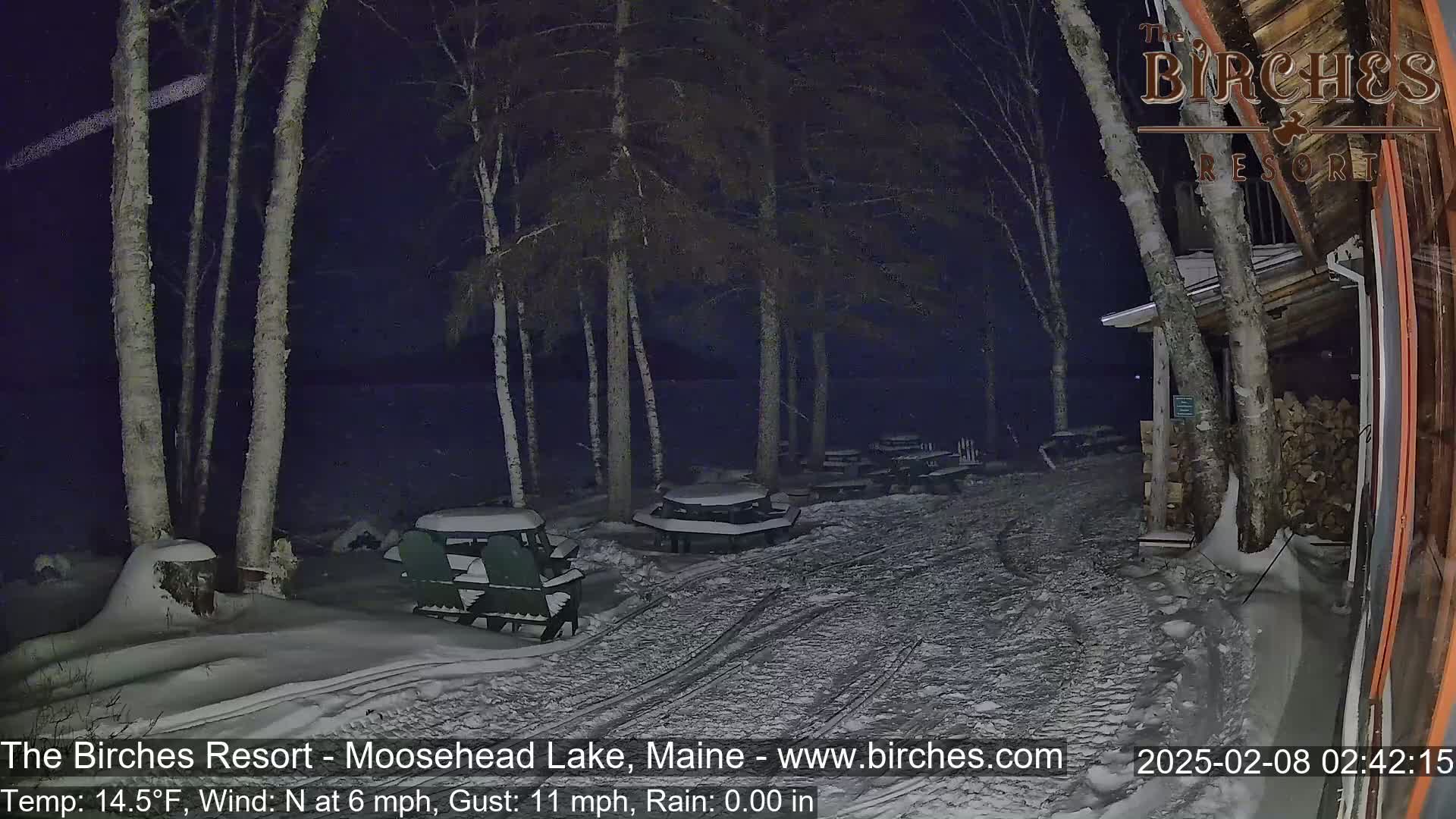A snow-covered outdoor patio area at night, next to a building, with several picnic tables and chairs under tall birch trees near a dark body of water, under a clear, dark sky.