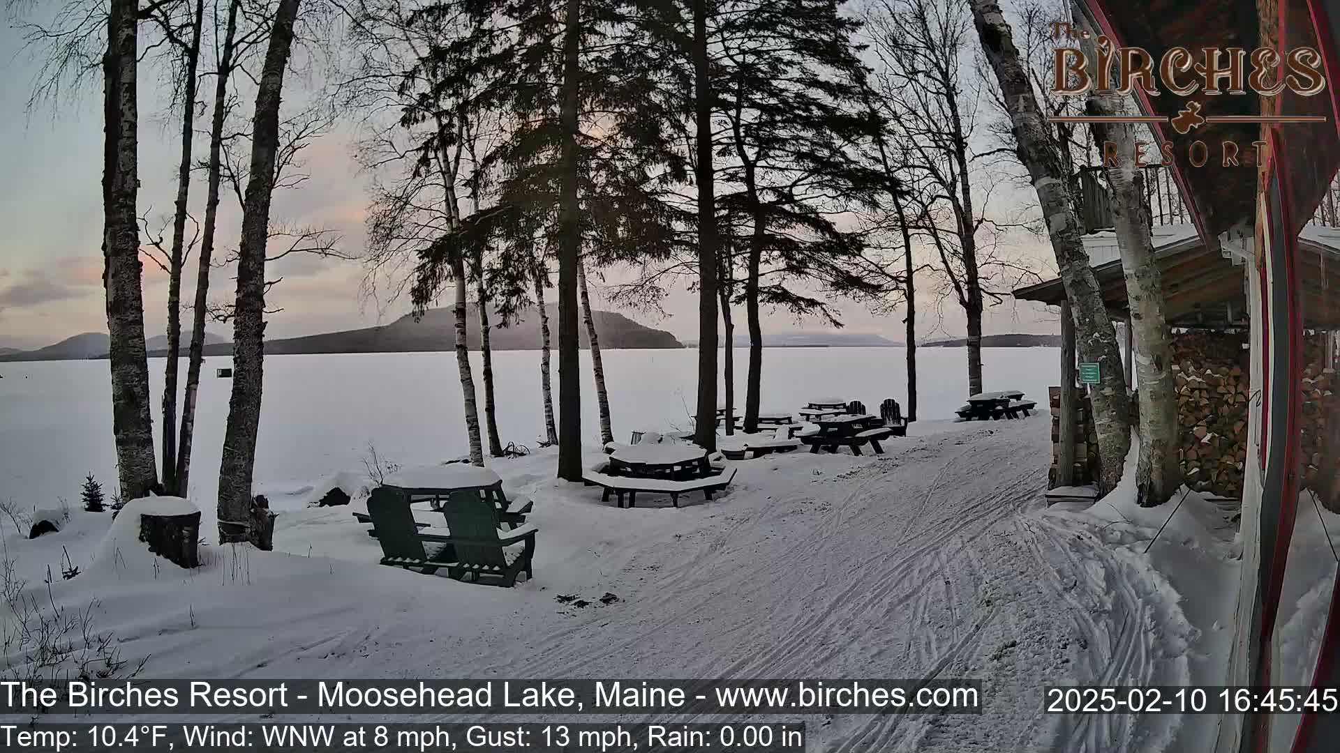 Snow-covered picnic tables and Adirondack chairs sit near a lake under a twilight sky, with several birch trees in the foreground.