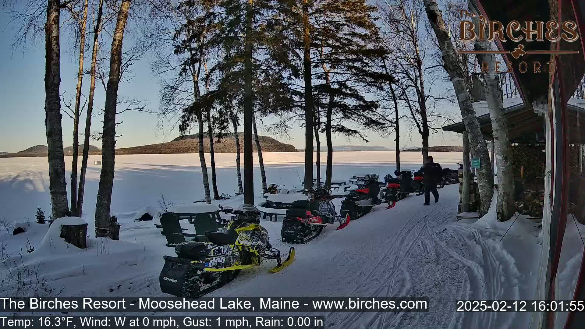 A snow-covered lake is visible through a stand of birch trees, with snowmobiles parked near a building under a clear, sunny sky.