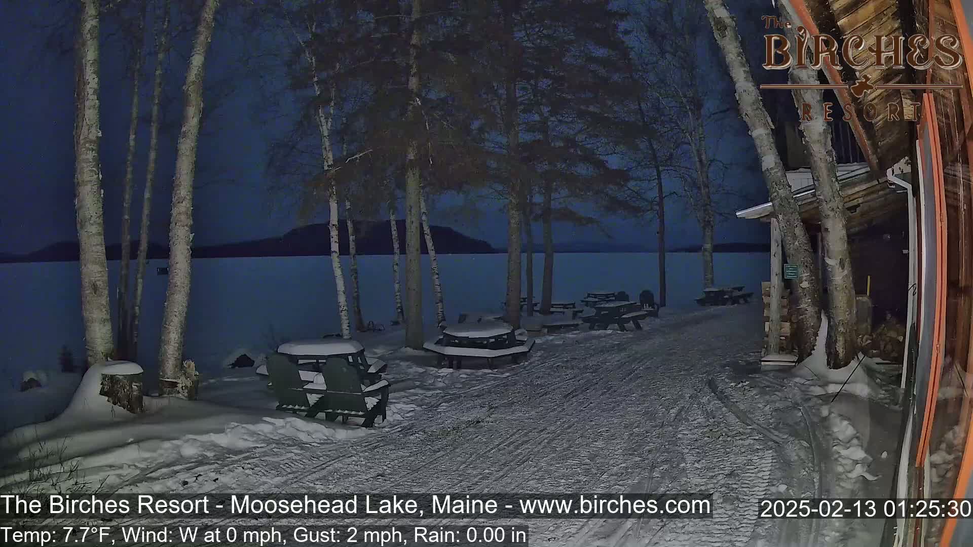 Snow-covered picnic tables sit near a lake under a dark blue night sky, with several birch trees in the foreground and a building to the right.