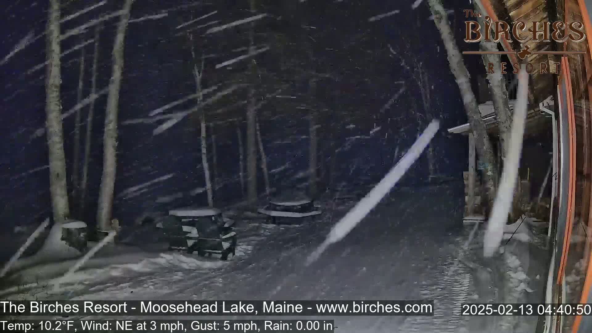 A snowy night scene shows a snow-covered outdoor area with picnic tables and trees, illuminated by a building's light, with heavy snowfall and a northeast wind.