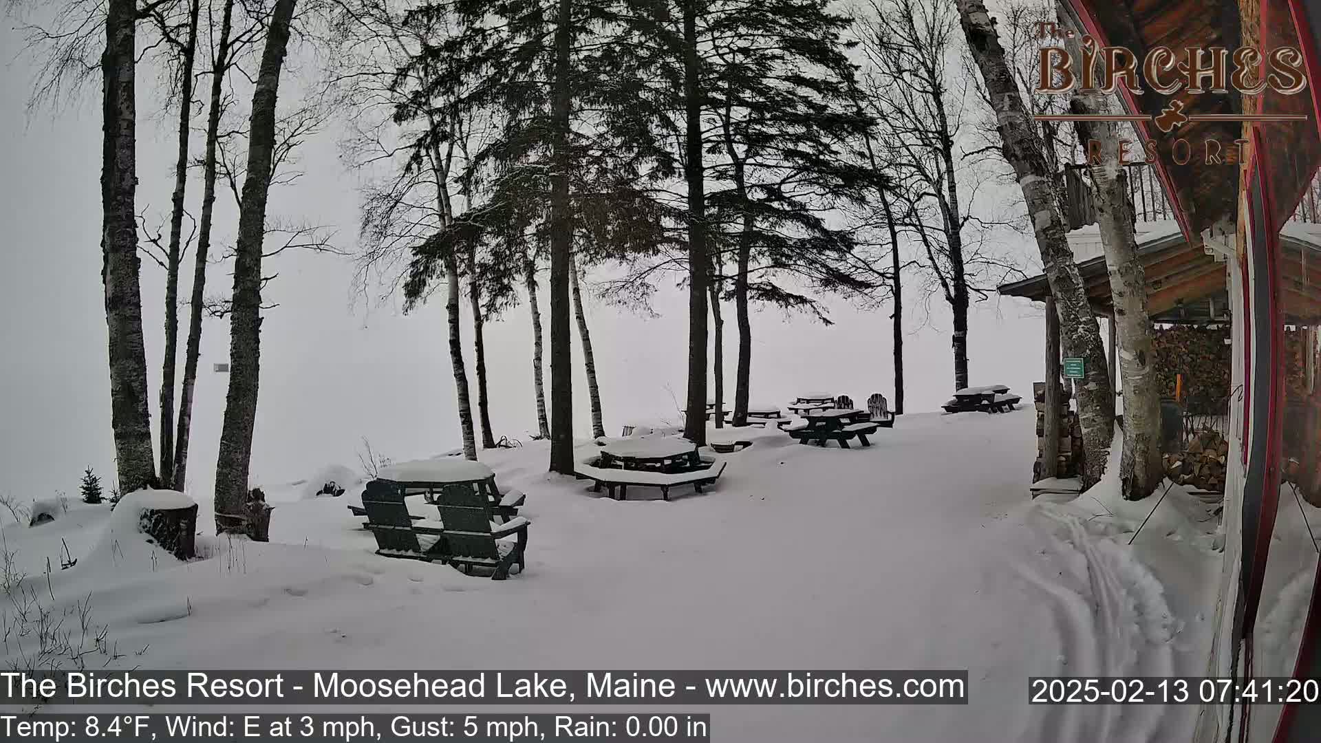 Snow-covered picnic tables sit beneath snow-laden trees in a snowy, overcast outdoor setting.