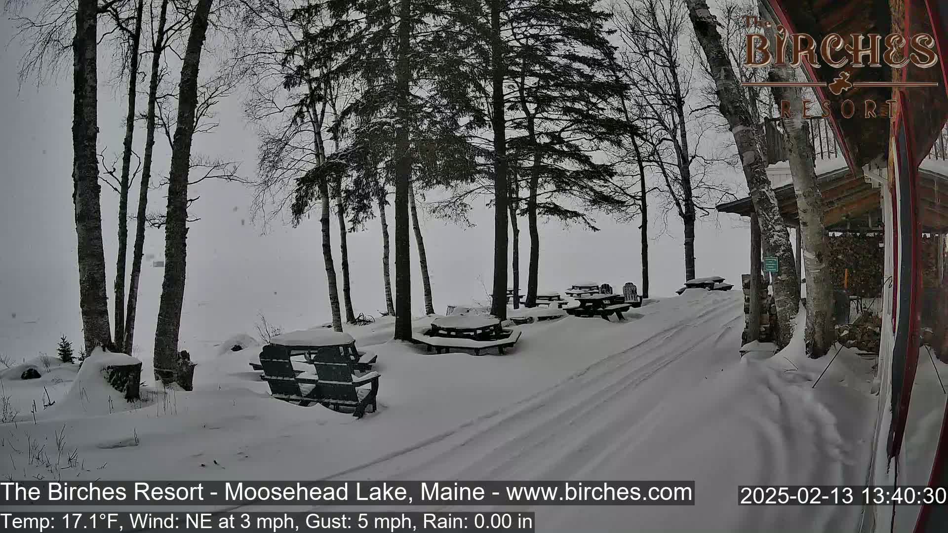 A snow-covered picnic area with several tables and benches sits among snow-laden trees on a cloudy day.