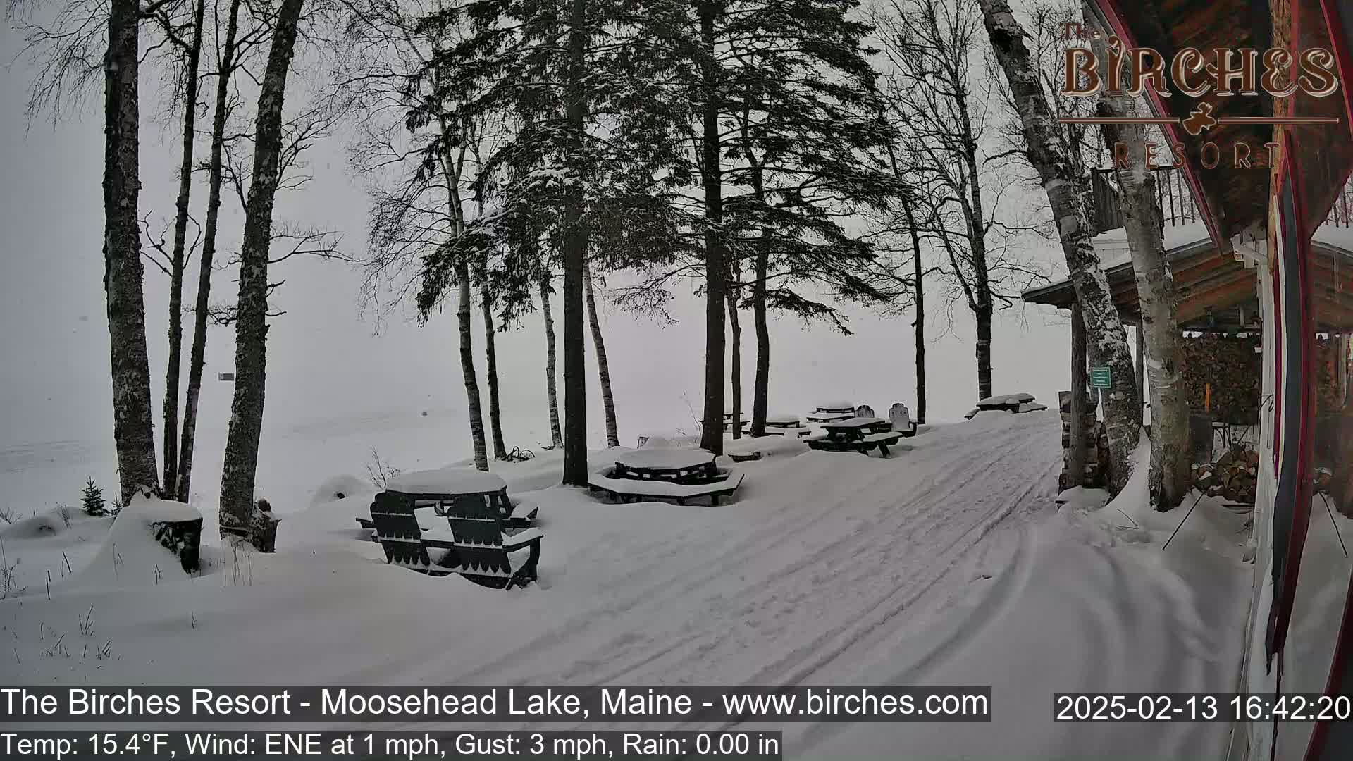 A snow-covered path leads to picnic tables under leafless trees near a lake on a cloudy day.
