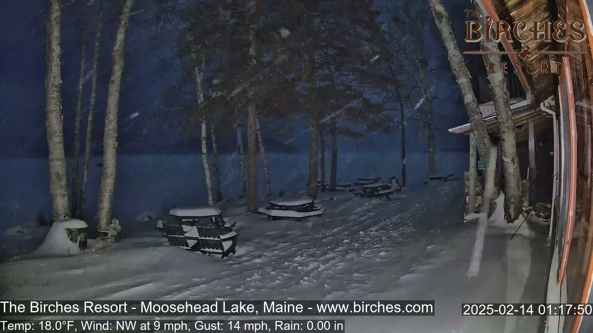 A snow-covered lakeside area with picnic tables under birch trees at night during a light snowfall.