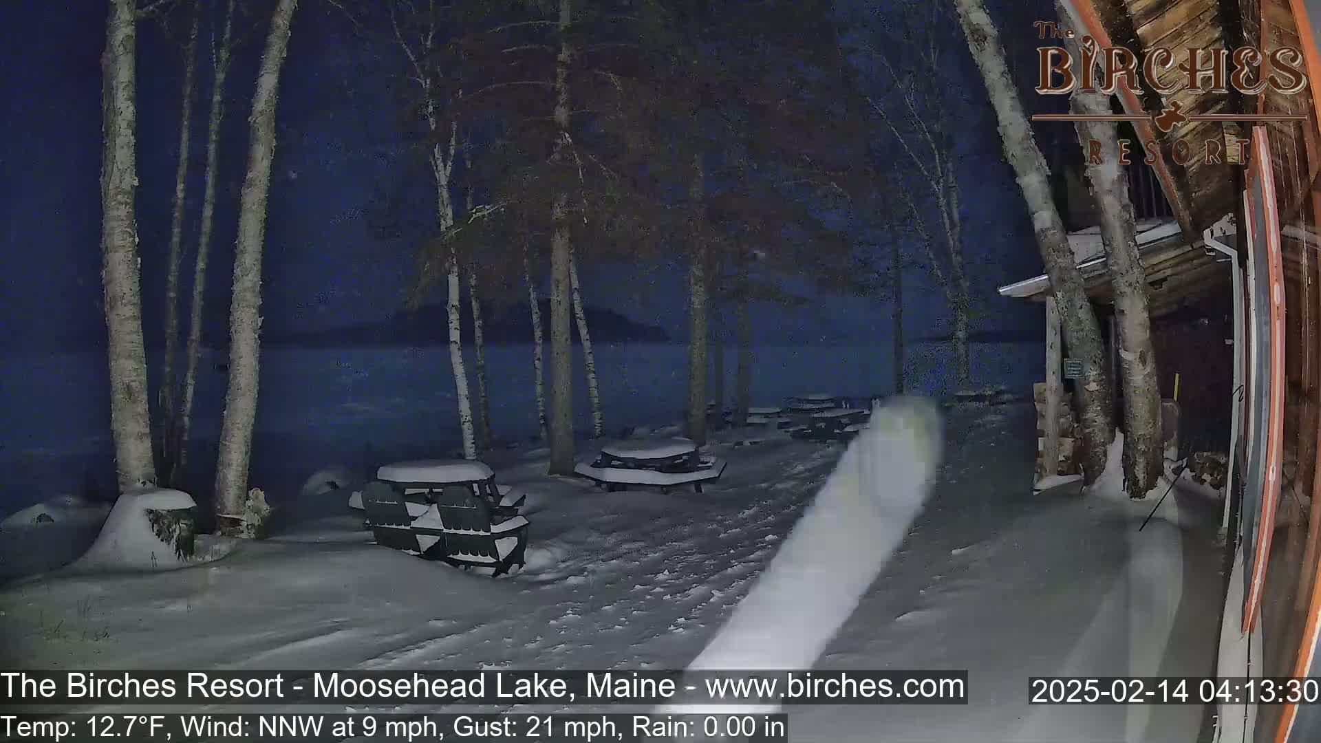 Snow-covered picnic tables are visible near a lake under a dark, nighttime sky, with a light snowfall and birch trees in the foreground.