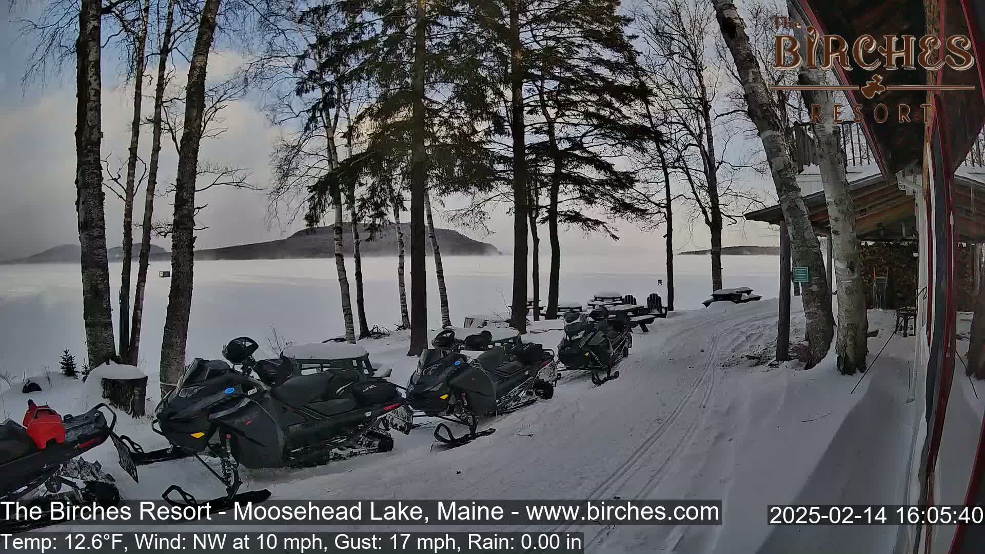 Several snowmobiles are parked near a snow-covered lakeshore with a calm, foggy lake and trees in the background, under a cloudy sky.