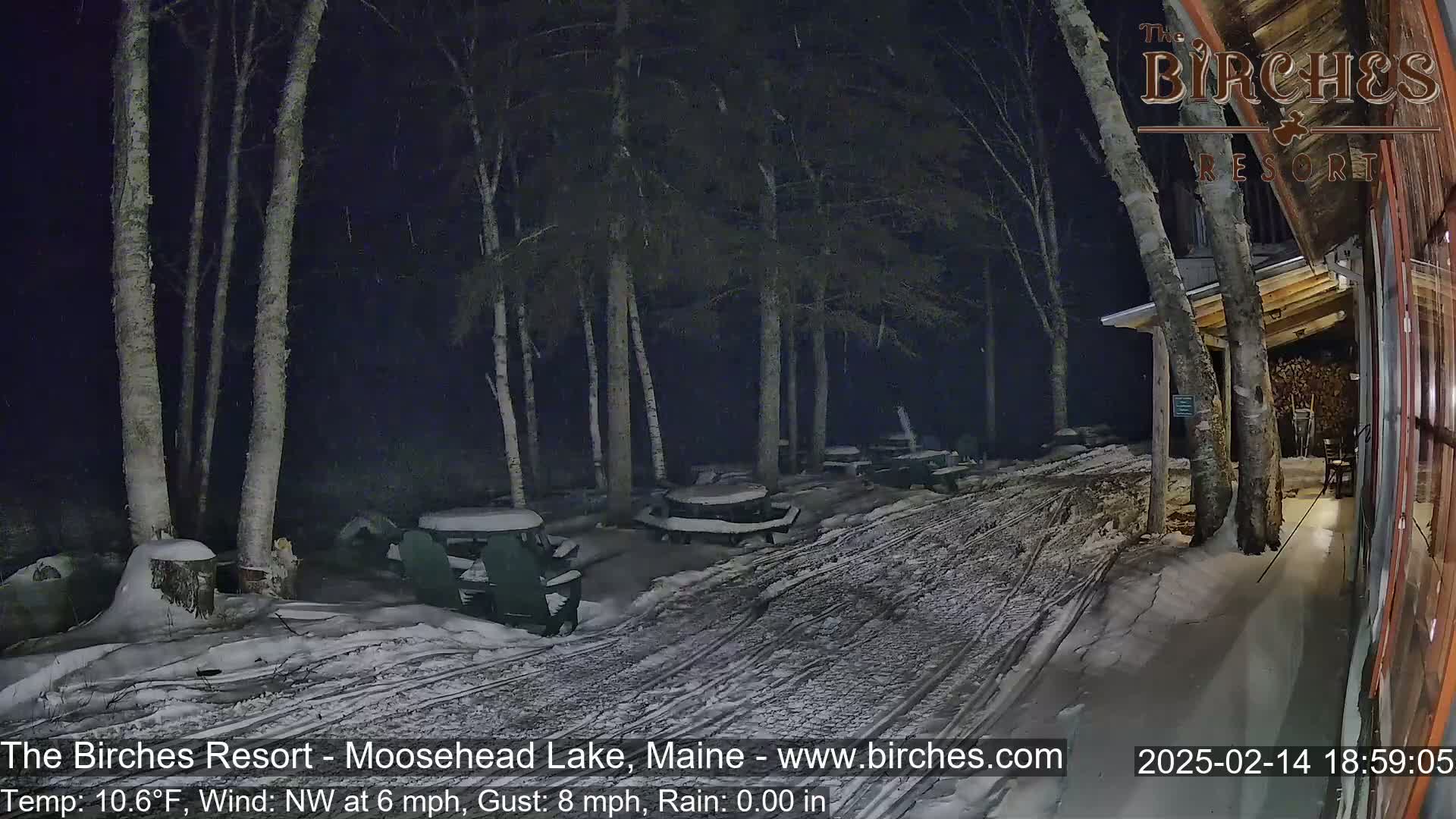 A snow-covered outdoor area at night with picnic tables and birch trees under light snowfall.
