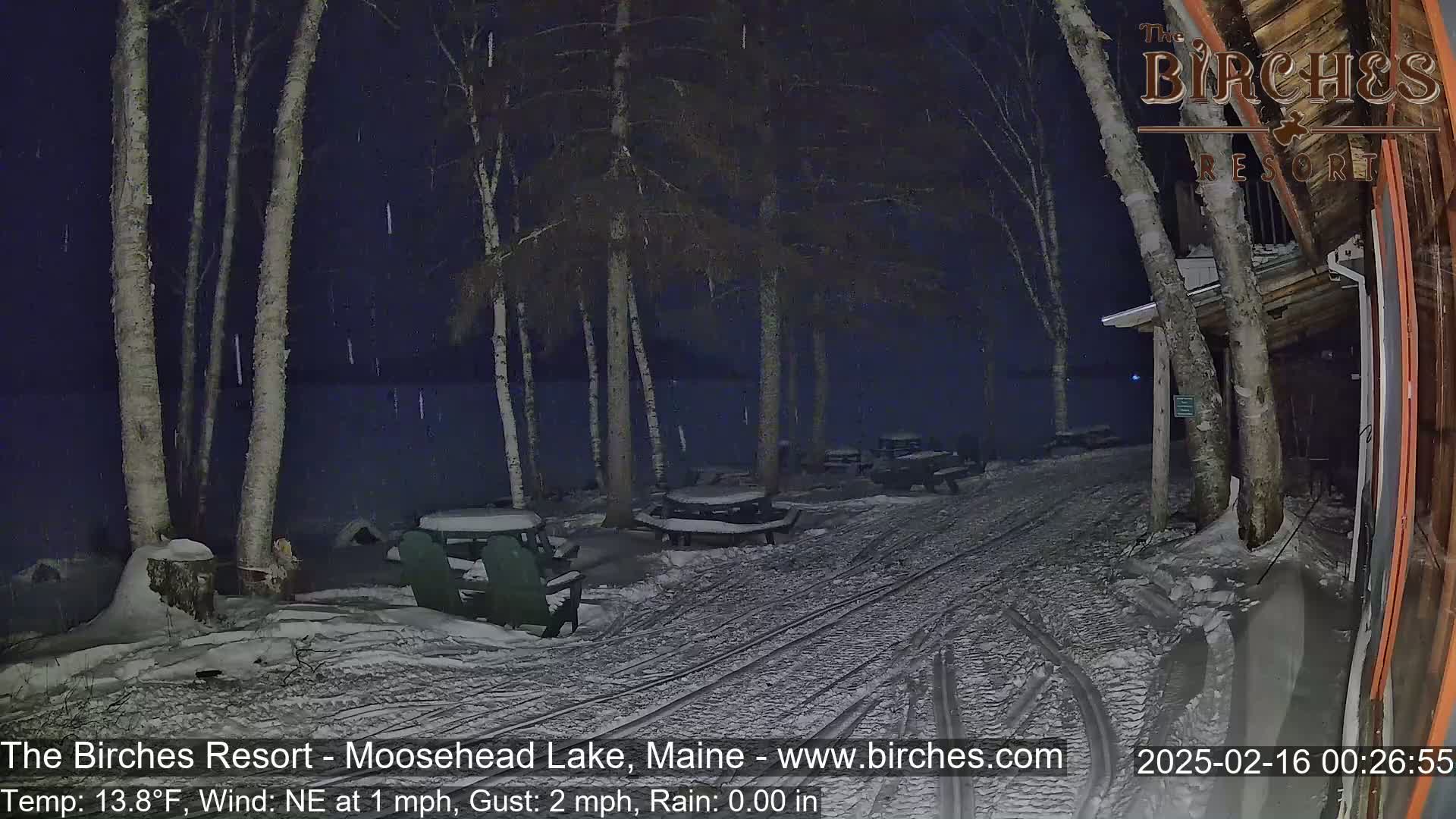 A snow-covered outdoor area with picnic tables and chairs is lightly snowing at night, next to a building and some birch trees.