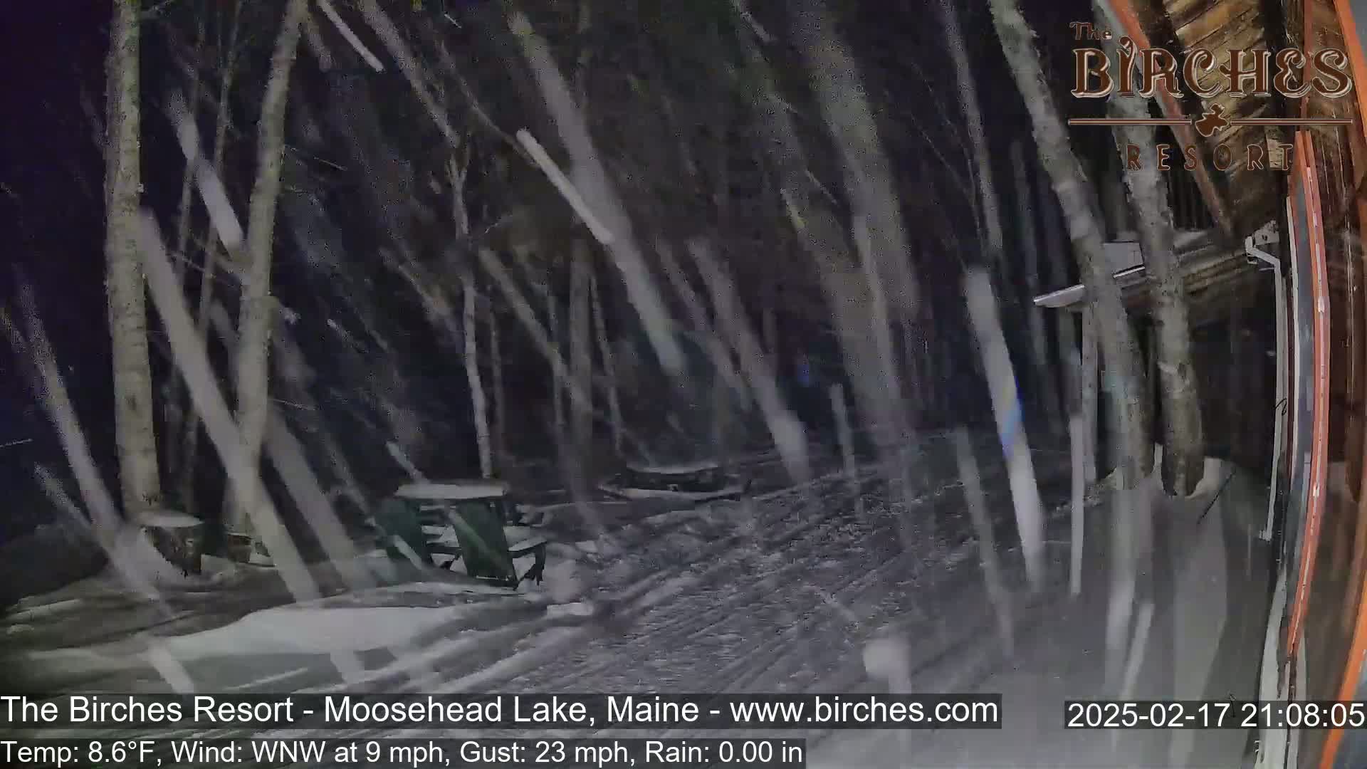 Heavy snow falls on a snow-covered path next to a wooded area at night.