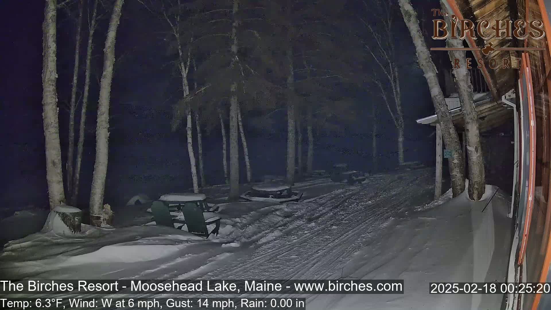 A snow-covered path at night, flanked by birch trees, leads to a building with outdoor picnic tables.