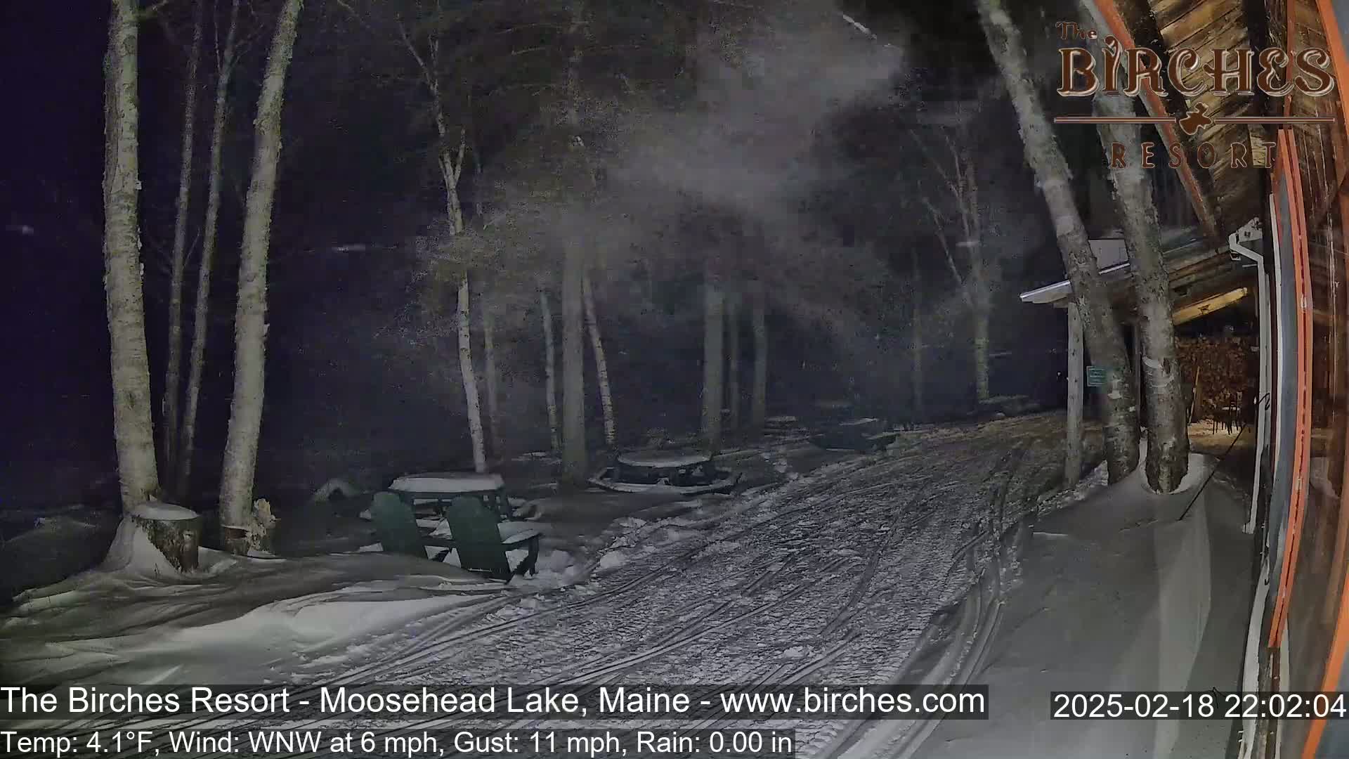 A snow-covered path at night leads to a building next to several snow-covered picnic tables under birch trees in rainy conditions with a light wind.