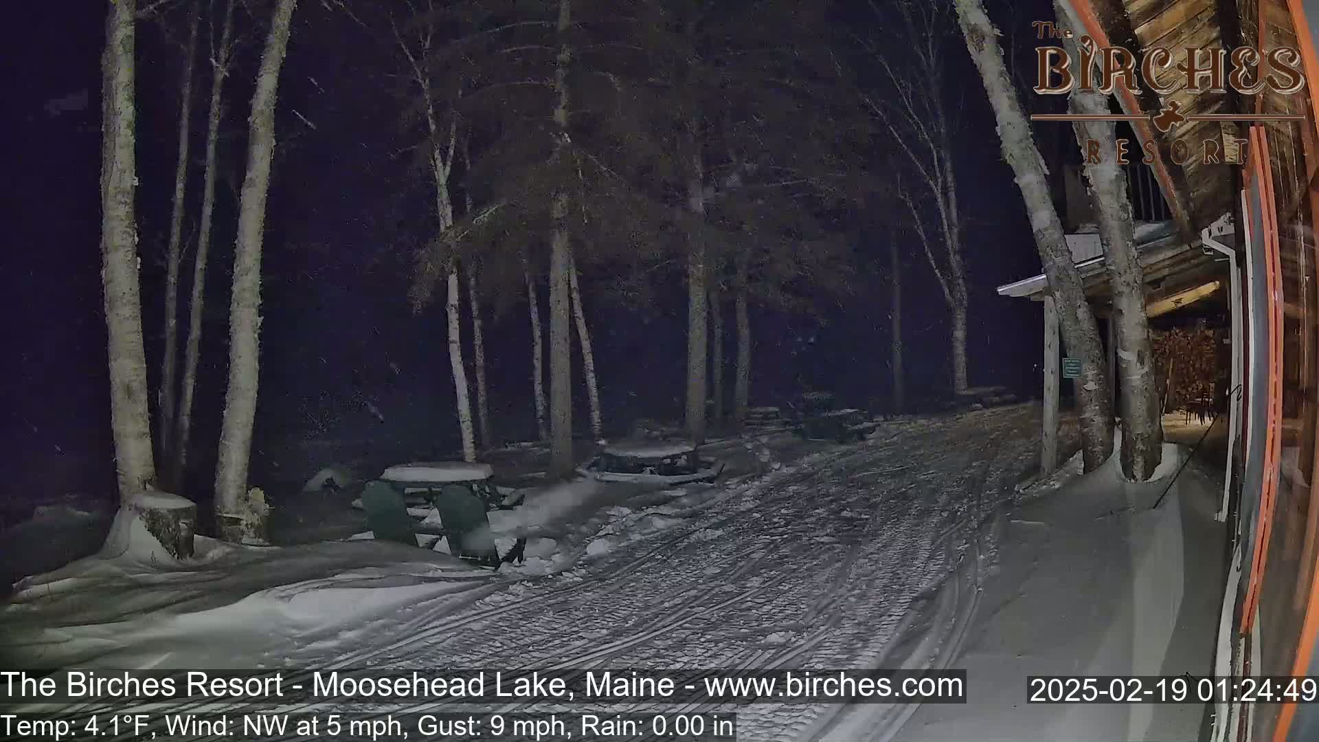 A snow-covered path at night, illuminated by a building's light, winds through a birch tree grove under a falling snow.