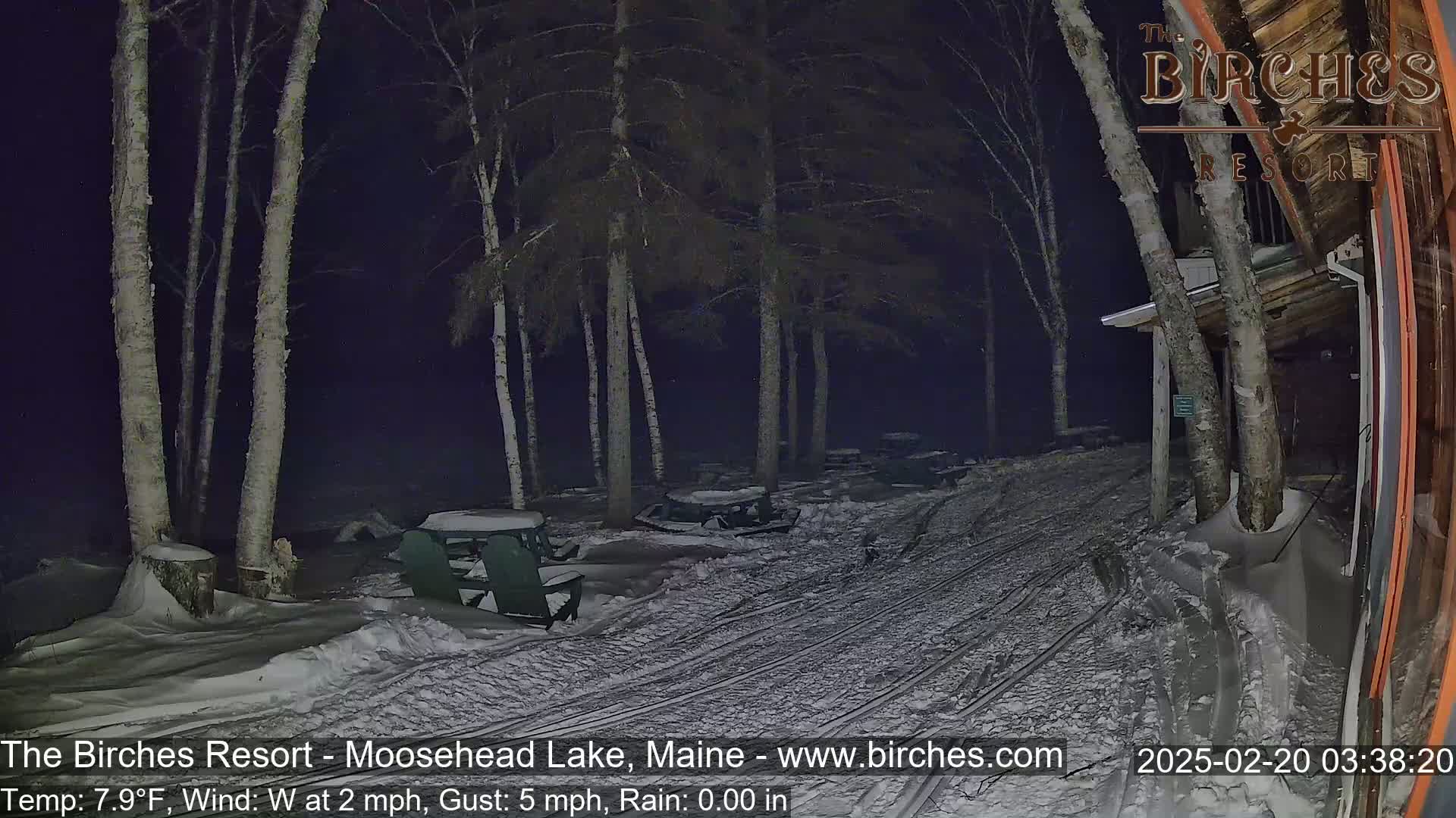 A snow-covered path winds through a birch forest at night, past several empty picnic tables and chairs near a building.