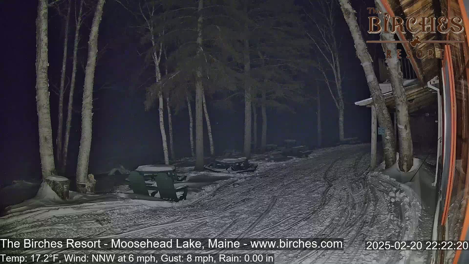 A snow-covered area with picnic tables and chairs under tall, slender trees at night, with a light dusting of snow and a northwest wind.