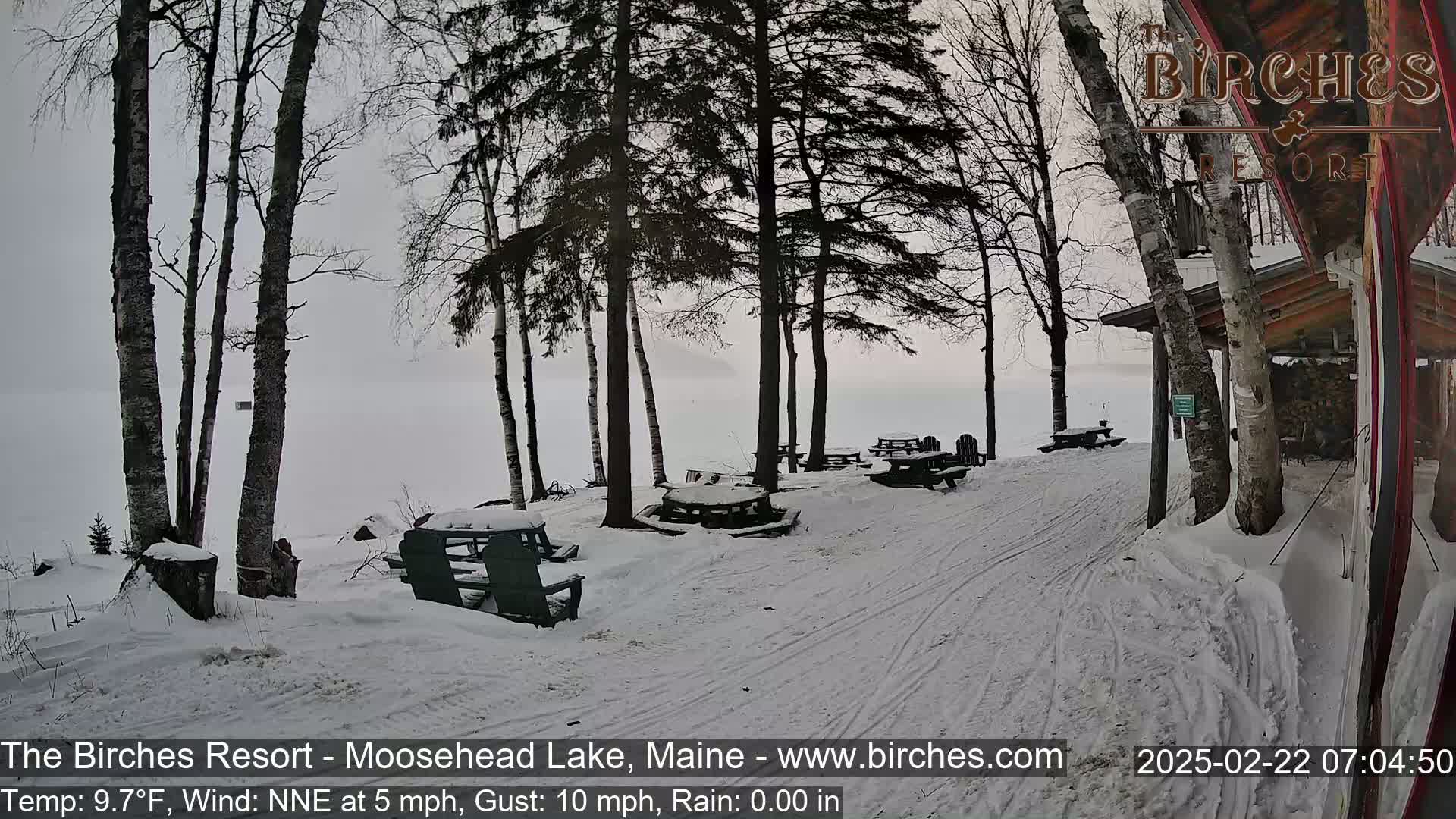 A snow-covered lakeside area with picnic tables and bare trees under a foggy sky.