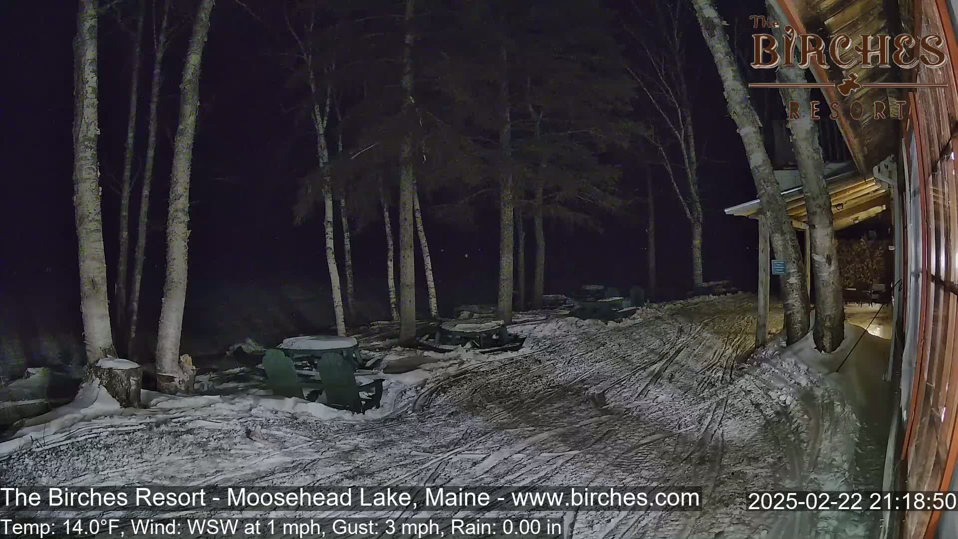 A snow-covered outdoor area at night, illuminated by a building's light, shows several picnic tables and chairs under tall birch trees in the rain.