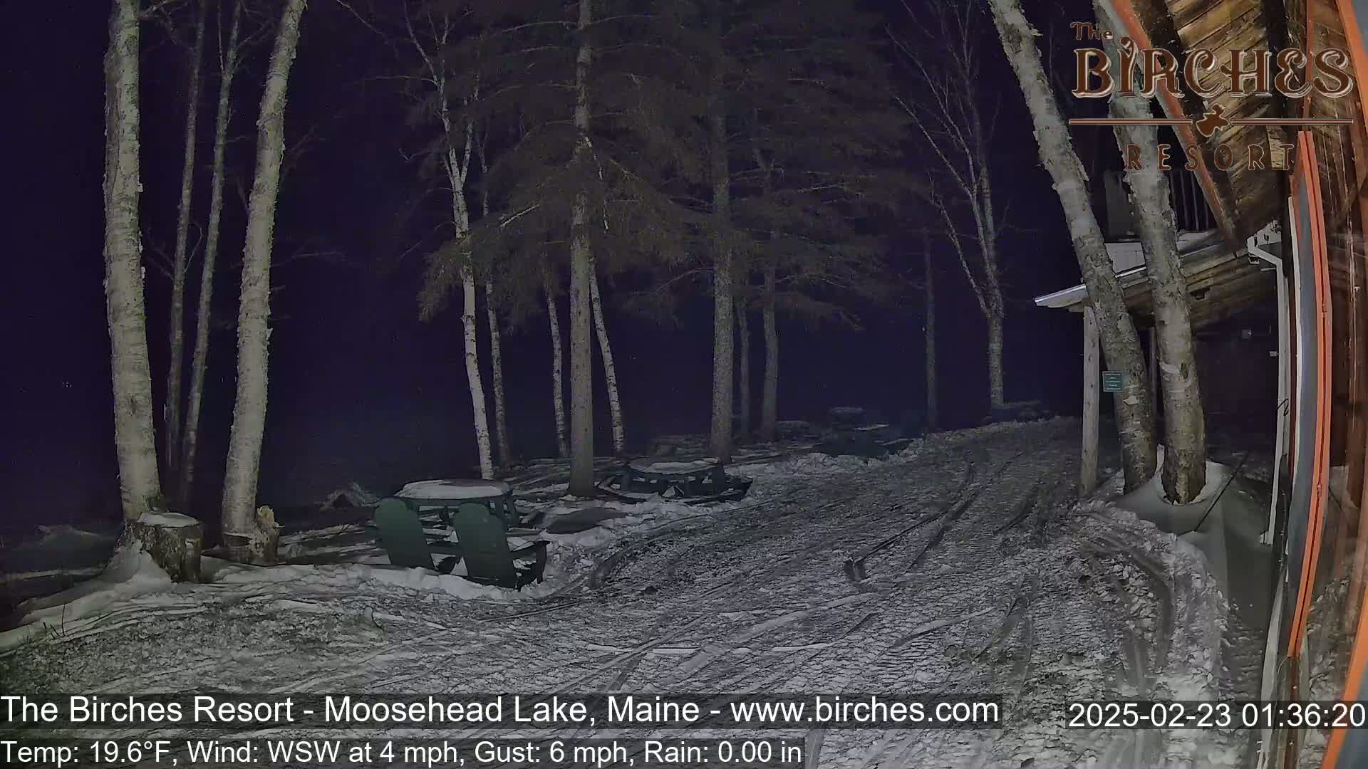 A snow-covered outdoor area at night, illuminated by faint light, shows several birch trees, picnic tables, and chairs near a building under a dark sky with light rain.