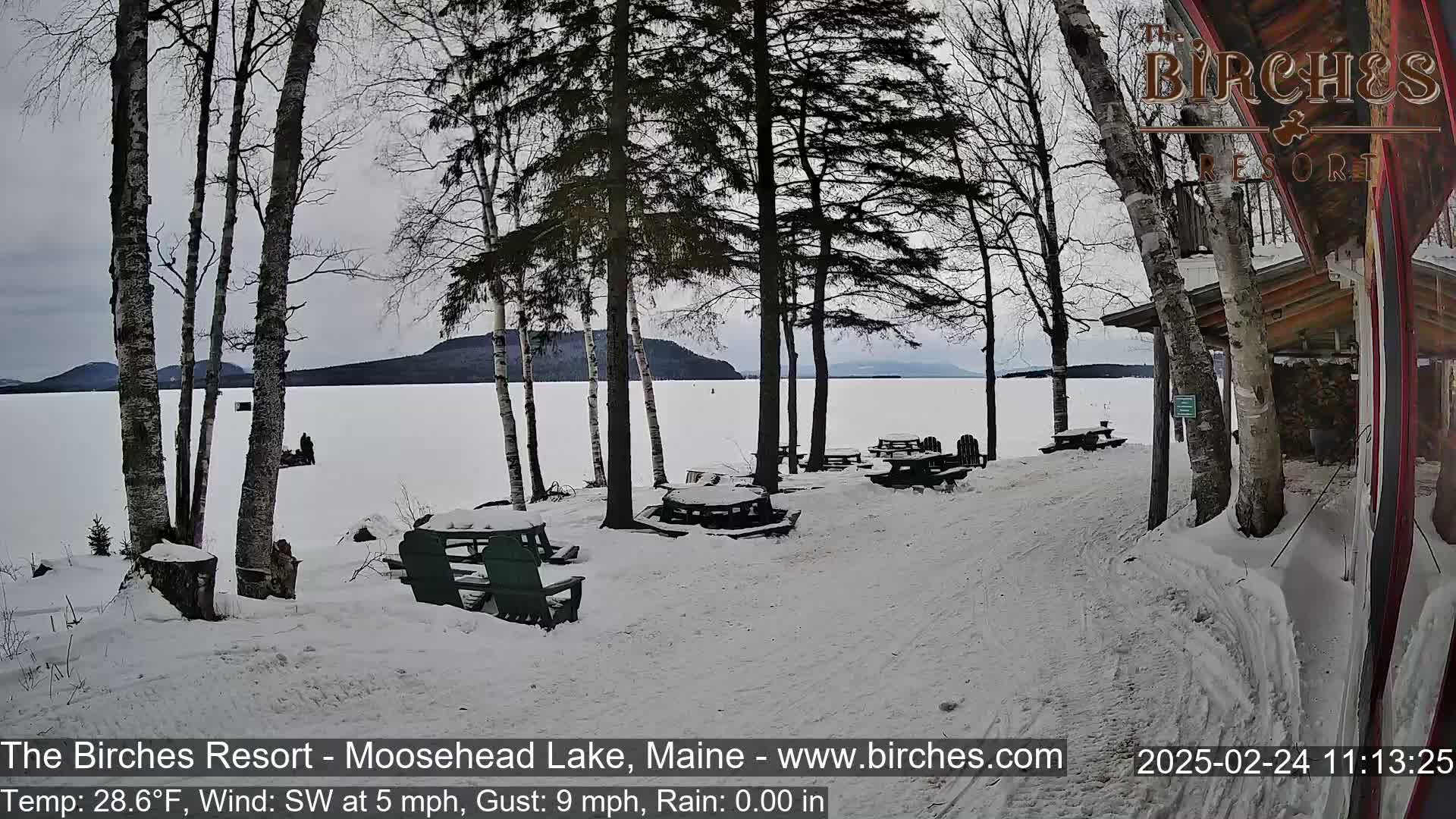 A snow-covered lakeside area with picnic tables and bare birch trees, overlooking a frozen lake and distant mountains under an overcast sky.