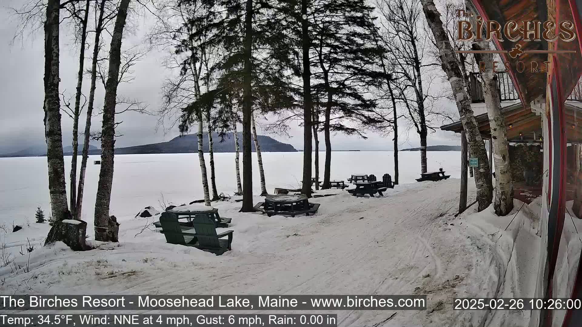 Snow-covered picnic tables sit near a snow-covered lakeshore under a gray sky, with several bare trees in the foreground.