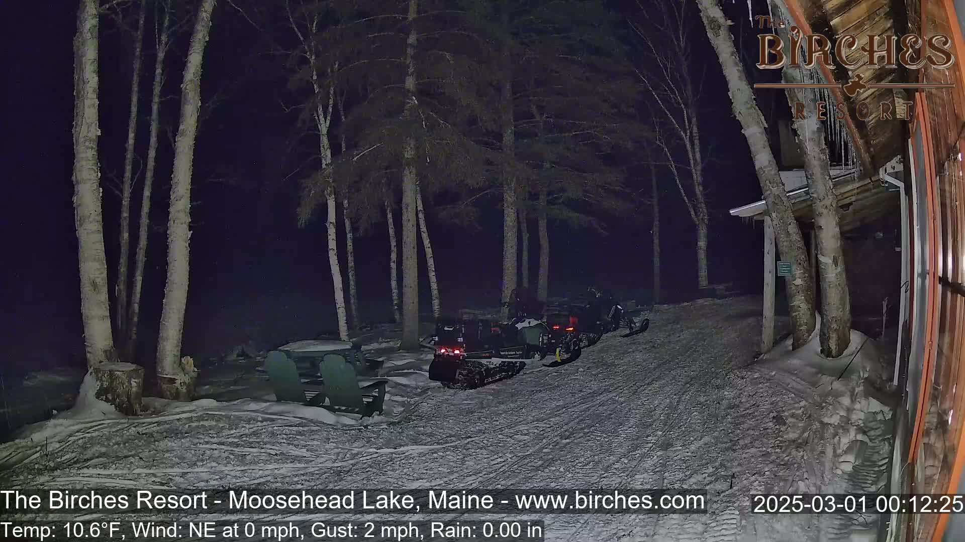 Several snowmobiles are parked at night in a snow-covered area surrounded by birch trees.
