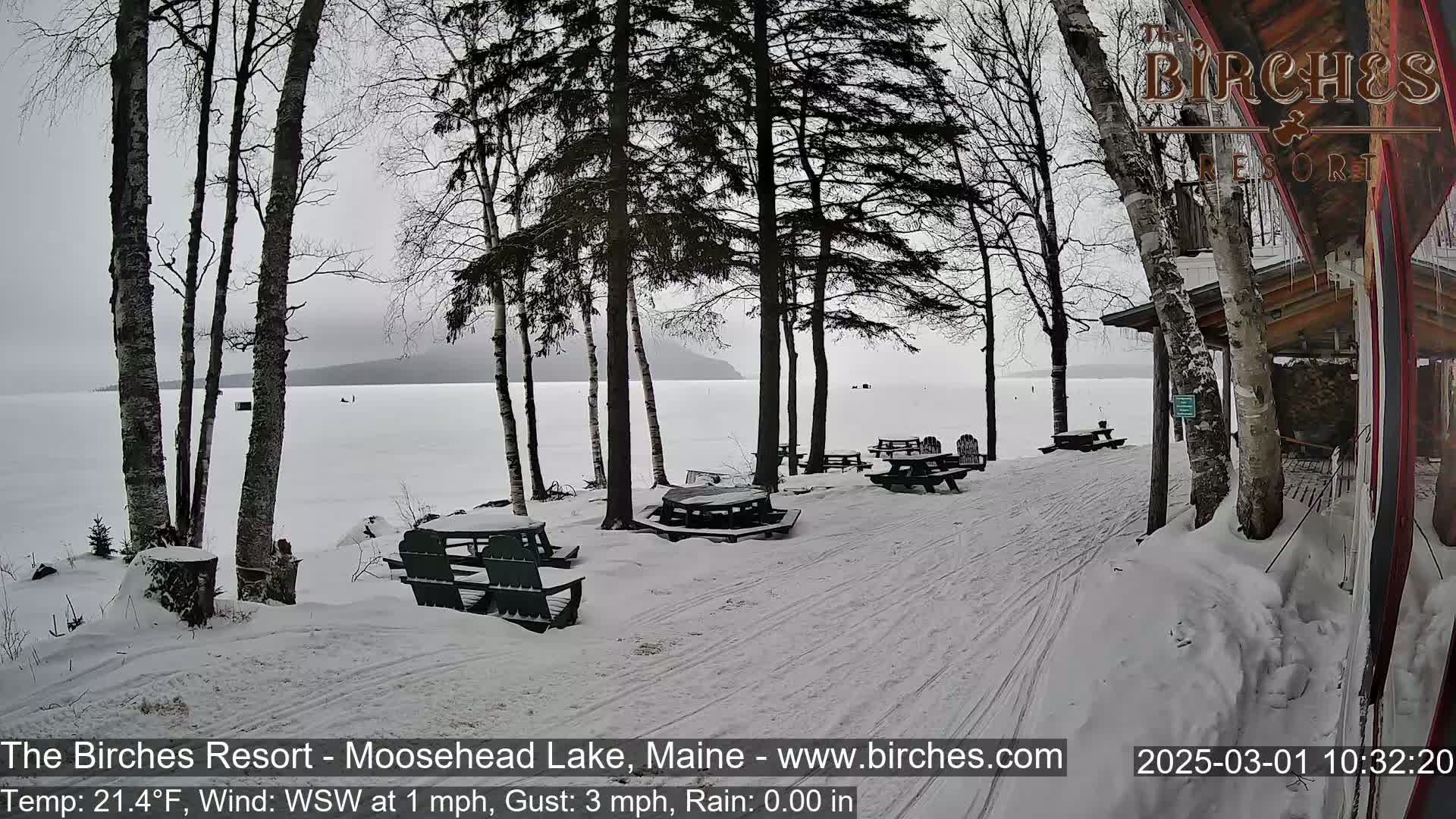A snow-covered lakeside area with picnic tables and trees under an overcast sky.