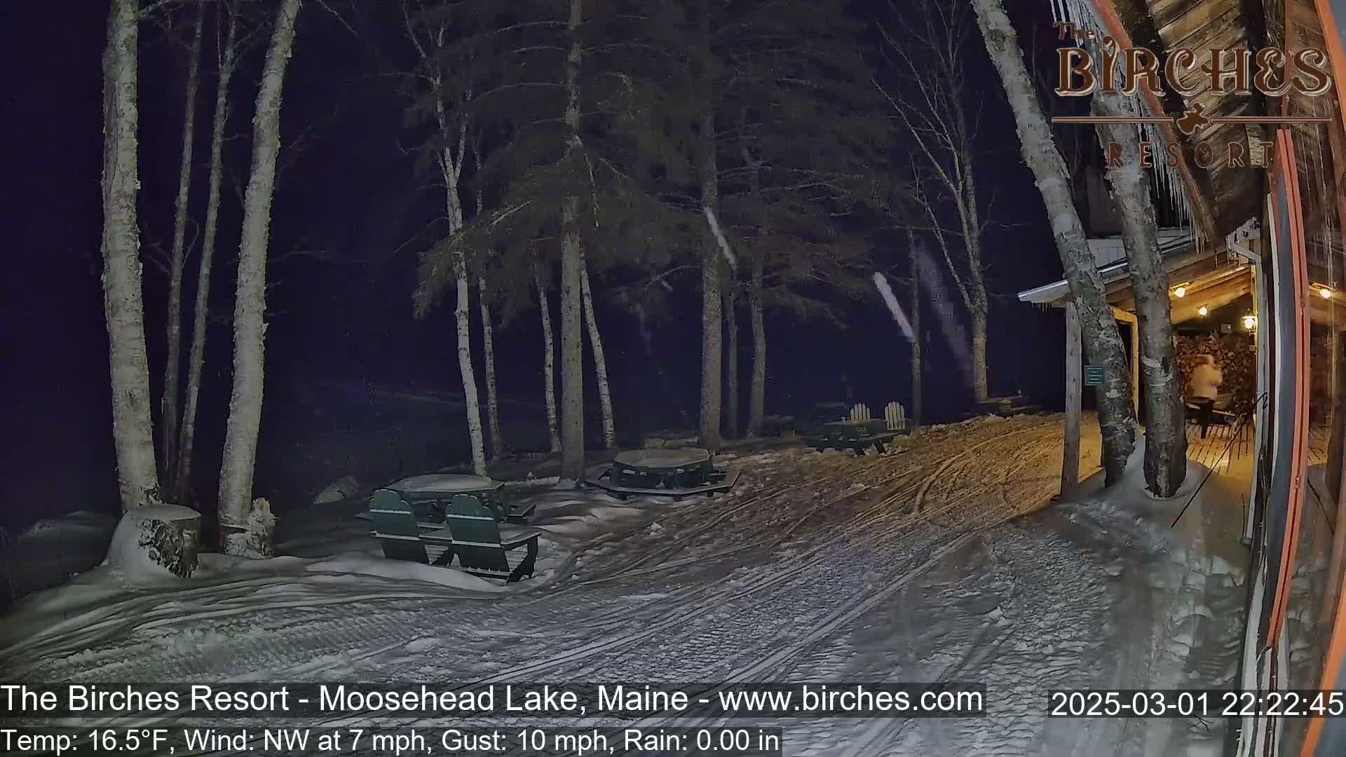 A snow-covered outdoor area at night, illuminated by lights from a building, shows picnic tables and chairs under birch trees in windy, cold conditions with light snowfall.