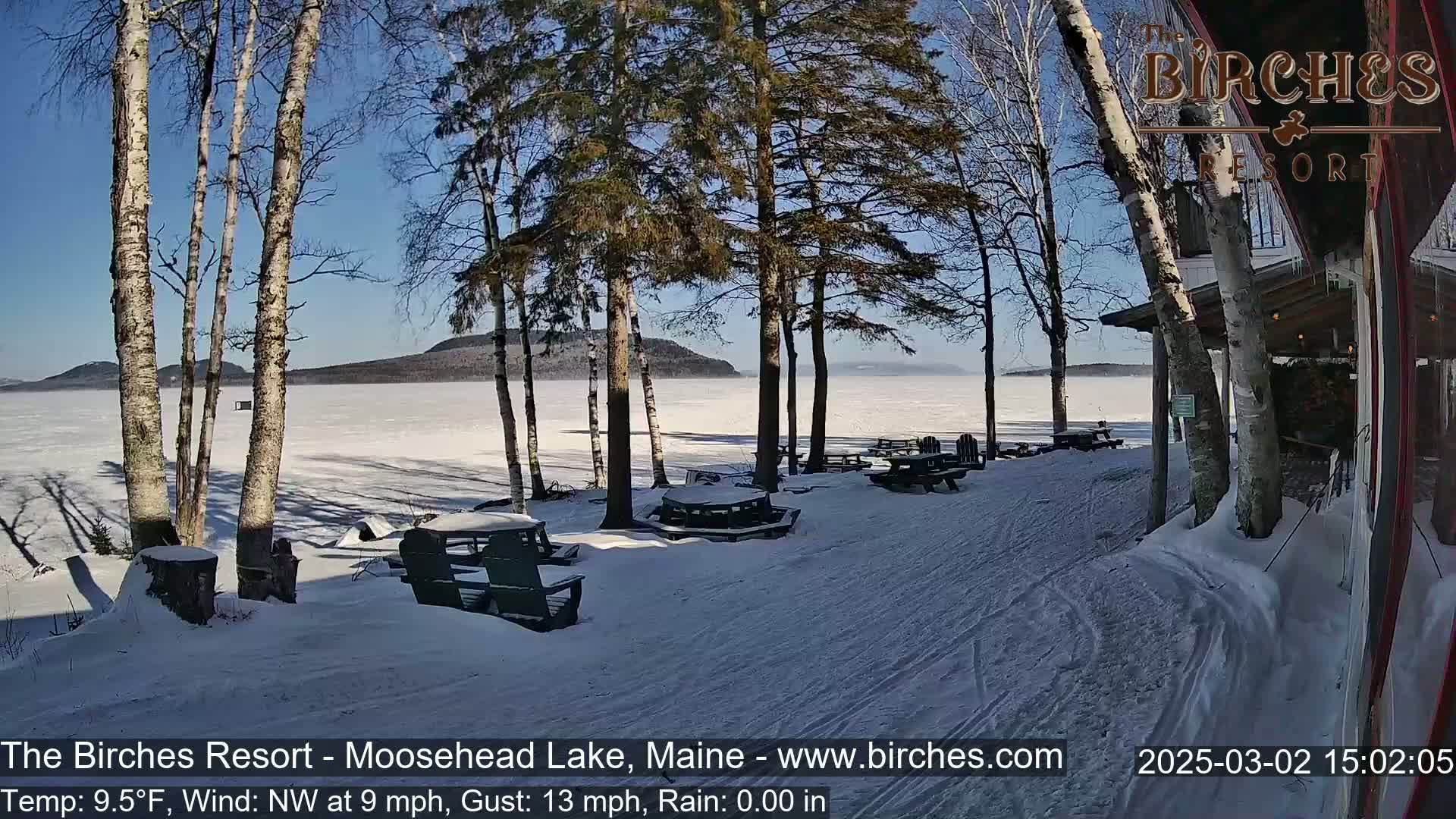 A snow-covered lakeside area with picnic tables and birch trees under a clear, sunny sky.