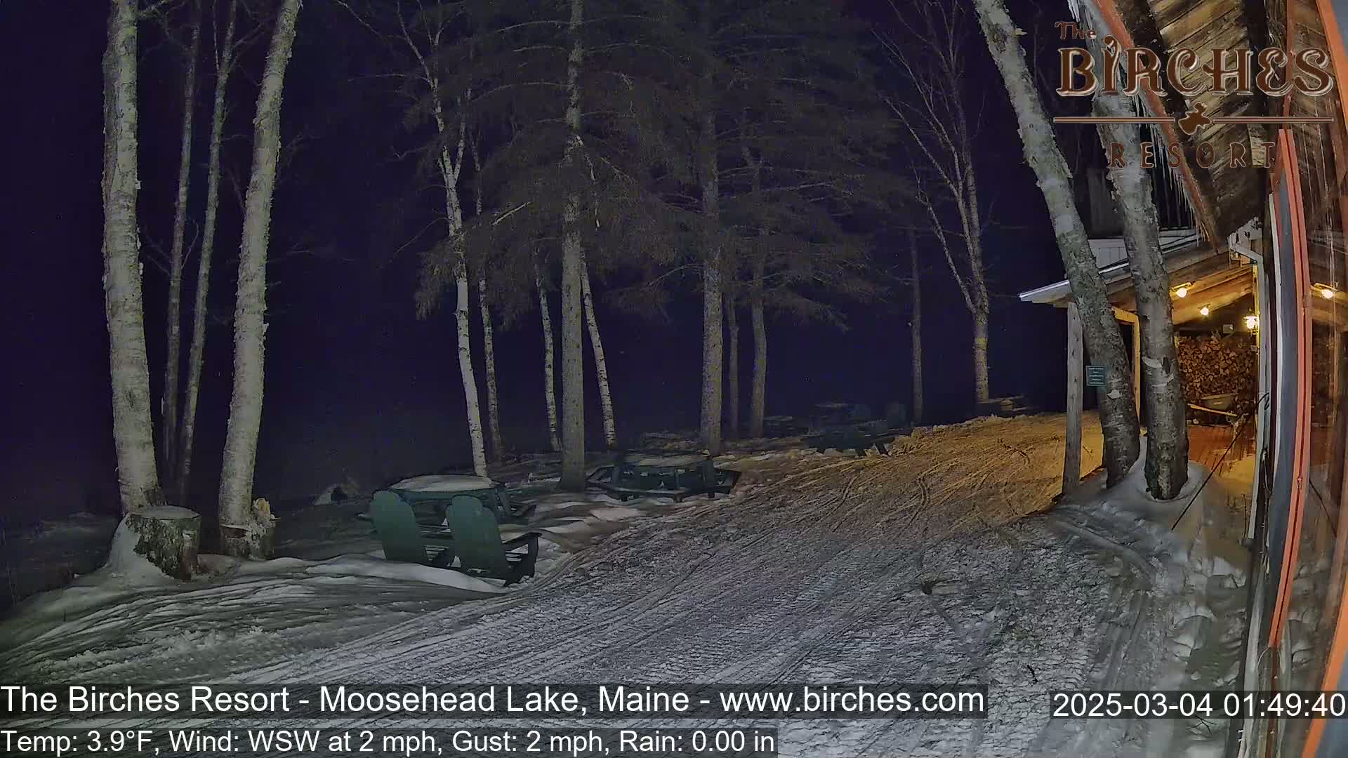 A snow-covered outdoor area at night, illuminated by lights from a building, shows picnic tables and chairs under bare birch trees with a light wind.