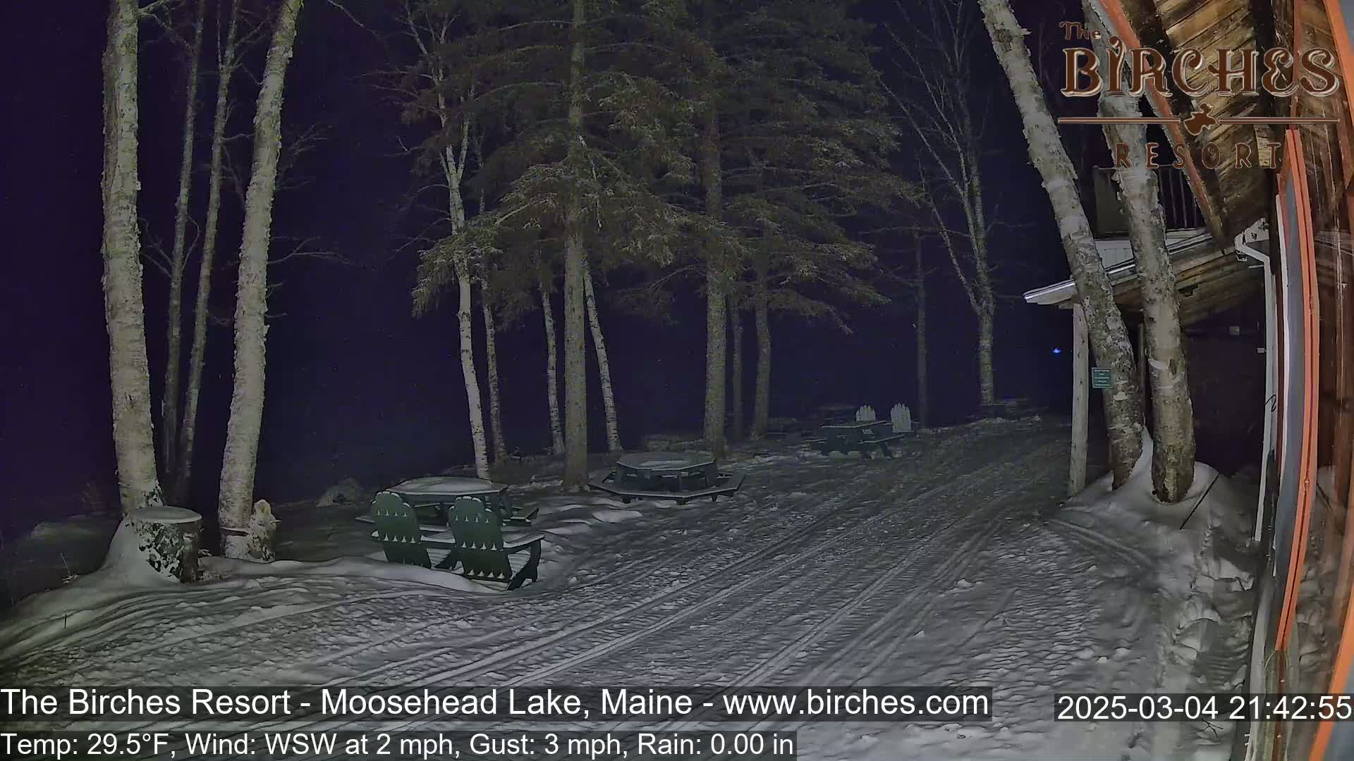 A snow-covered area with picnic tables and trees at night under rainy conditions.