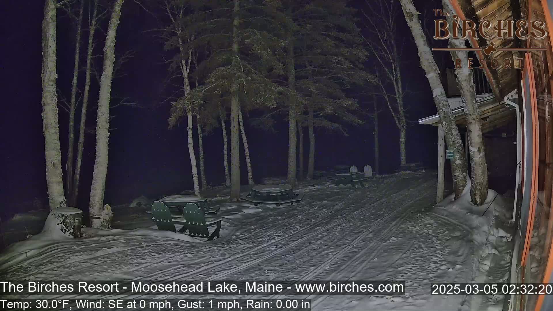 A snow-covered outdoor area at night, illuminated by artificial light, features picnic tables and chairs, surrounded by birch trees under a clear, dark sky.