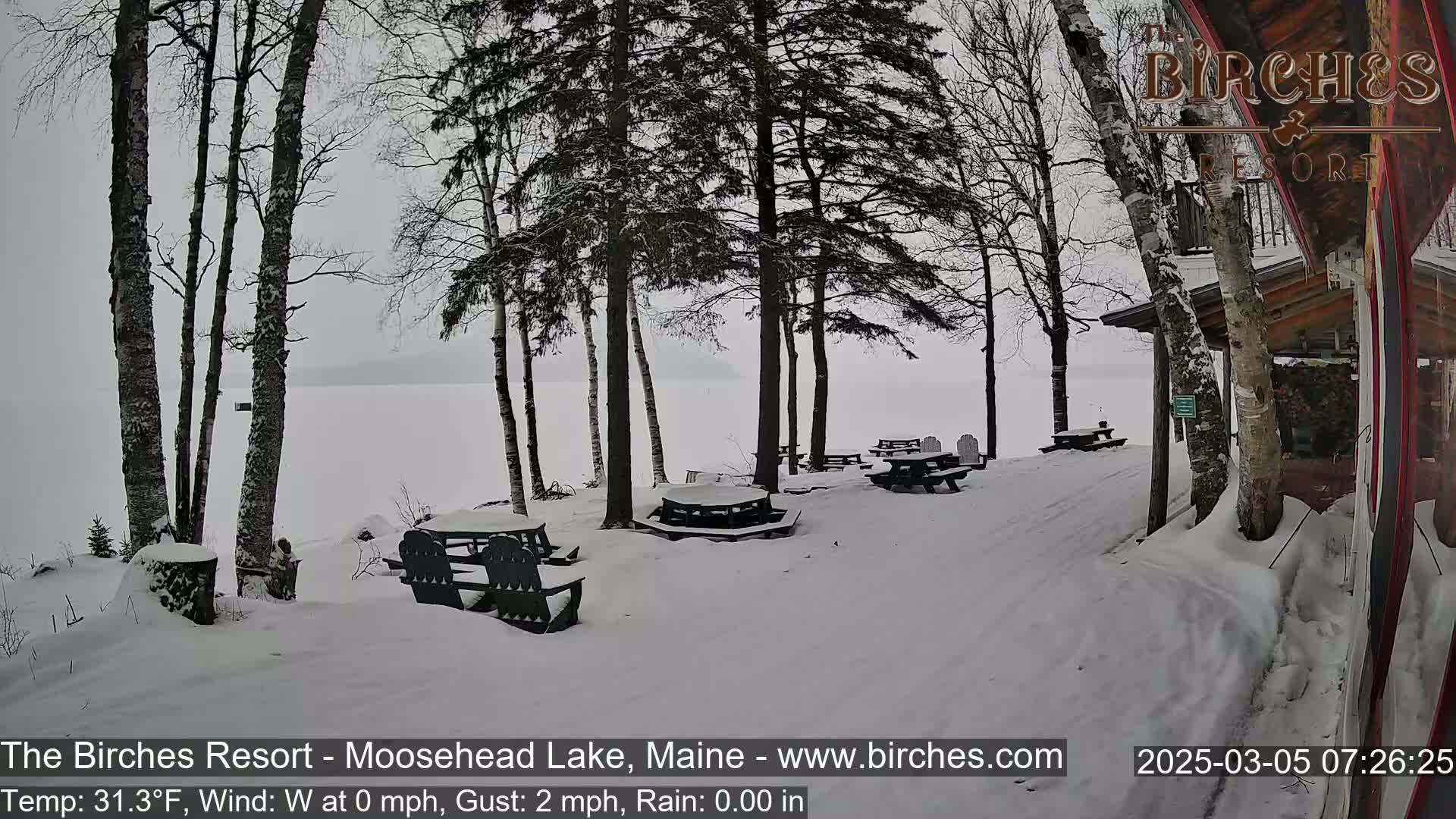 Snow-covered picnic tables sit beneath bare trees near a snow-covered lakeshore on an overcast day.