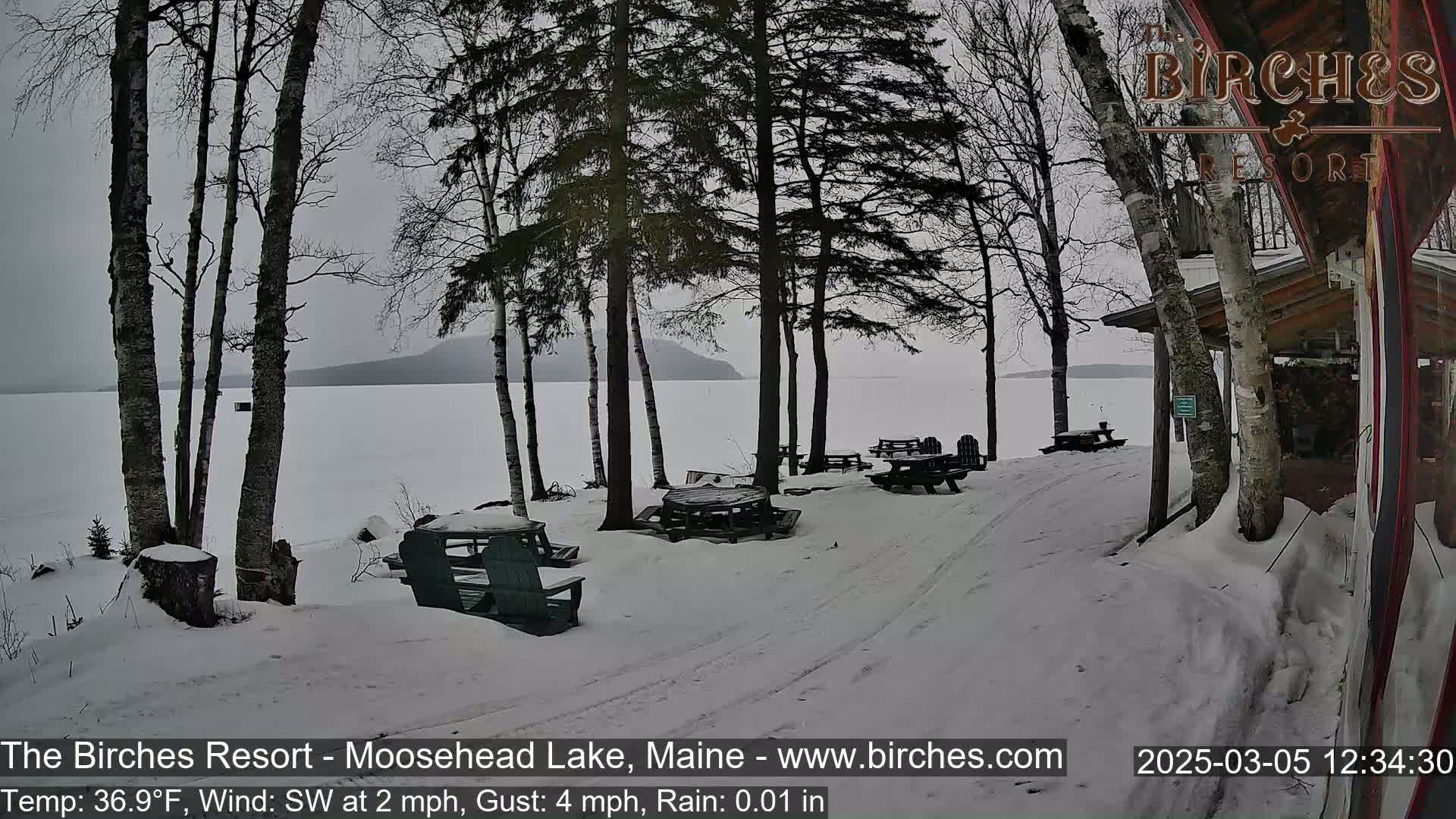 A snow-covered lakeside area with picnic tables and chairs under a gray, overcast sky.