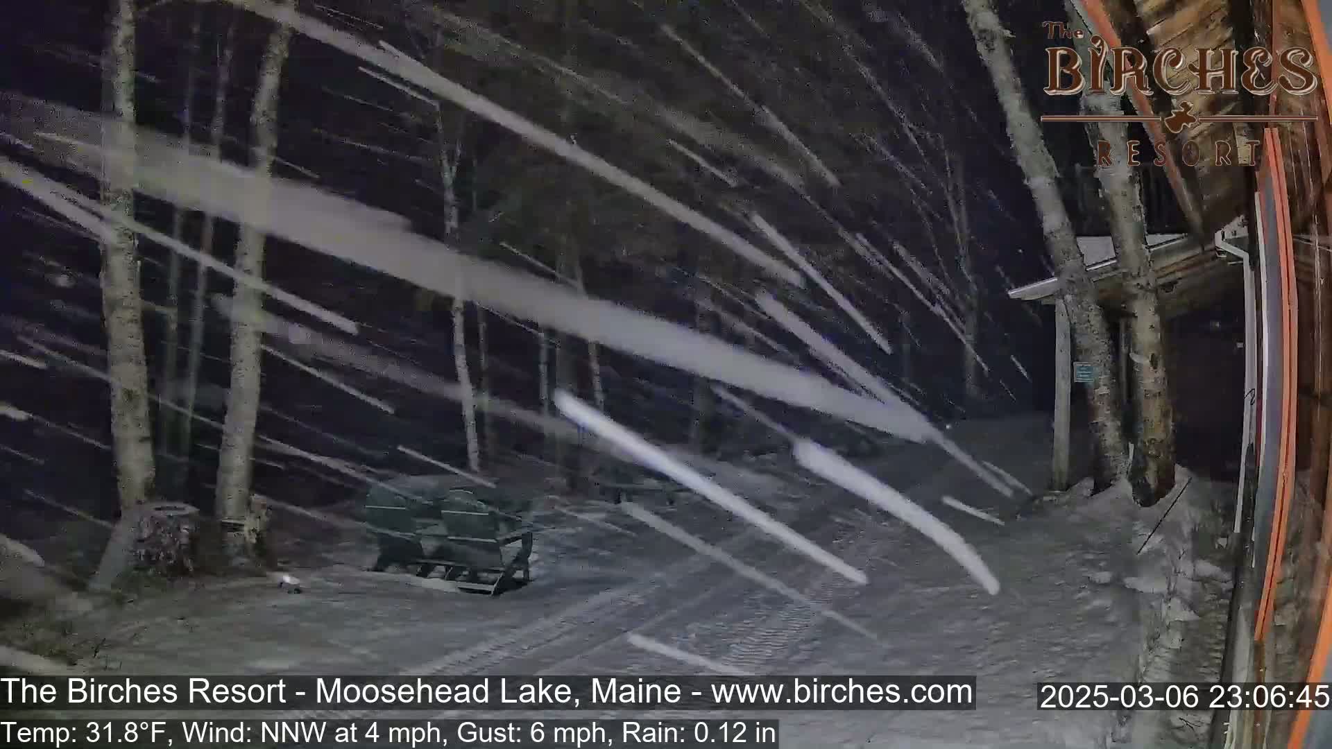 A snowy scene at night shows a snow-covered area with trees and a building under heavy snowfall with a wind from the northwest.