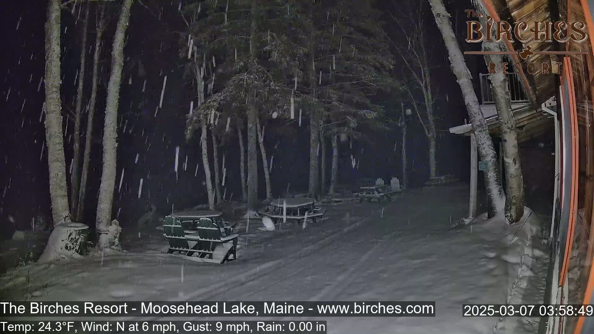 Snow falls at night on a snow-covered outdoor area with picnic tables and chairs beneath trees near a building.