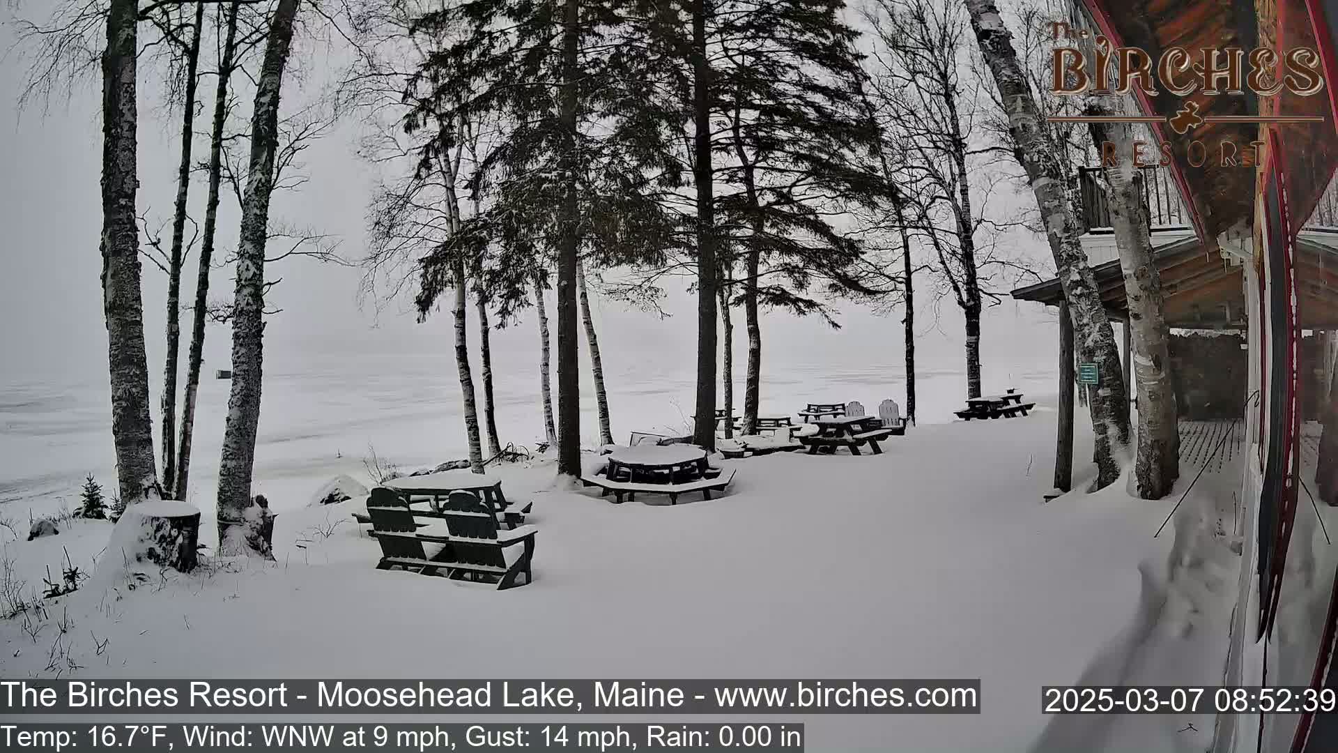Snow-covered picnic tables and benches sit outside a lakeside building in snowy conditions.
