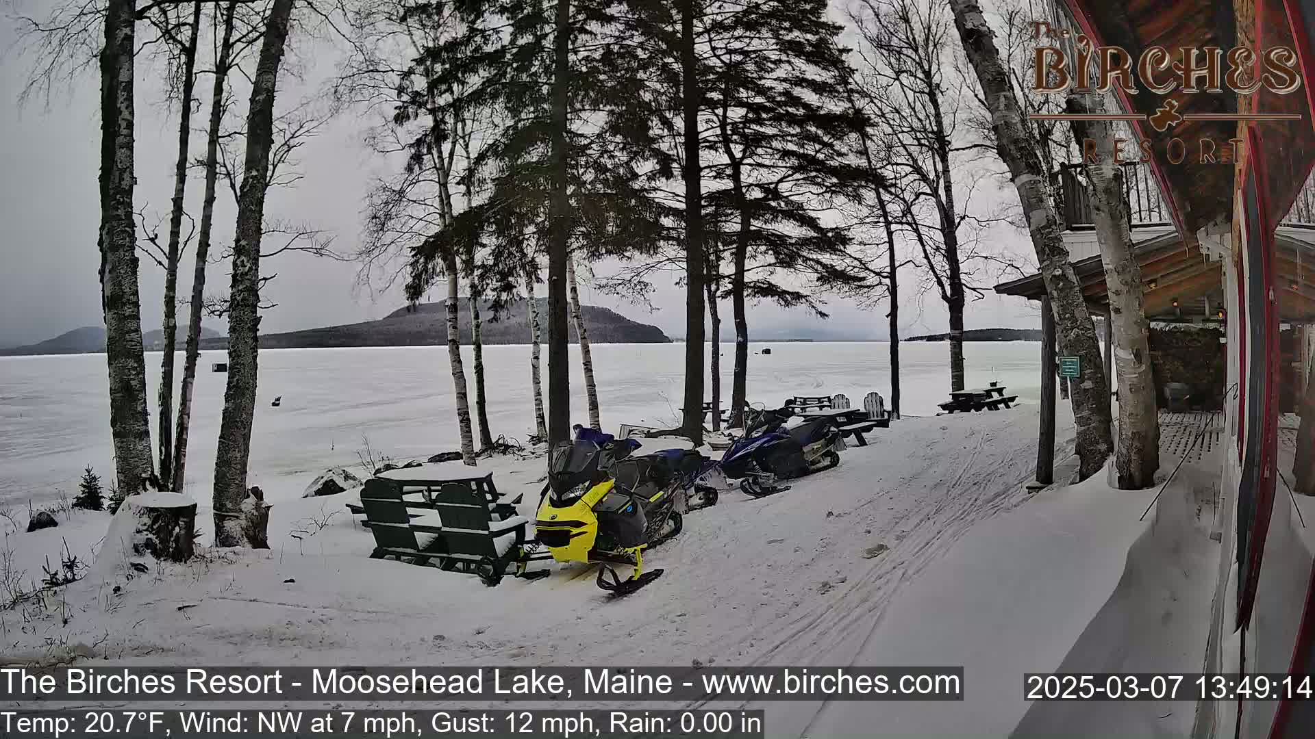 Several snowmobiles are parked near a snow-covered lakeshore, with bare trees and a partially visible building in the background, under overcast skies.
