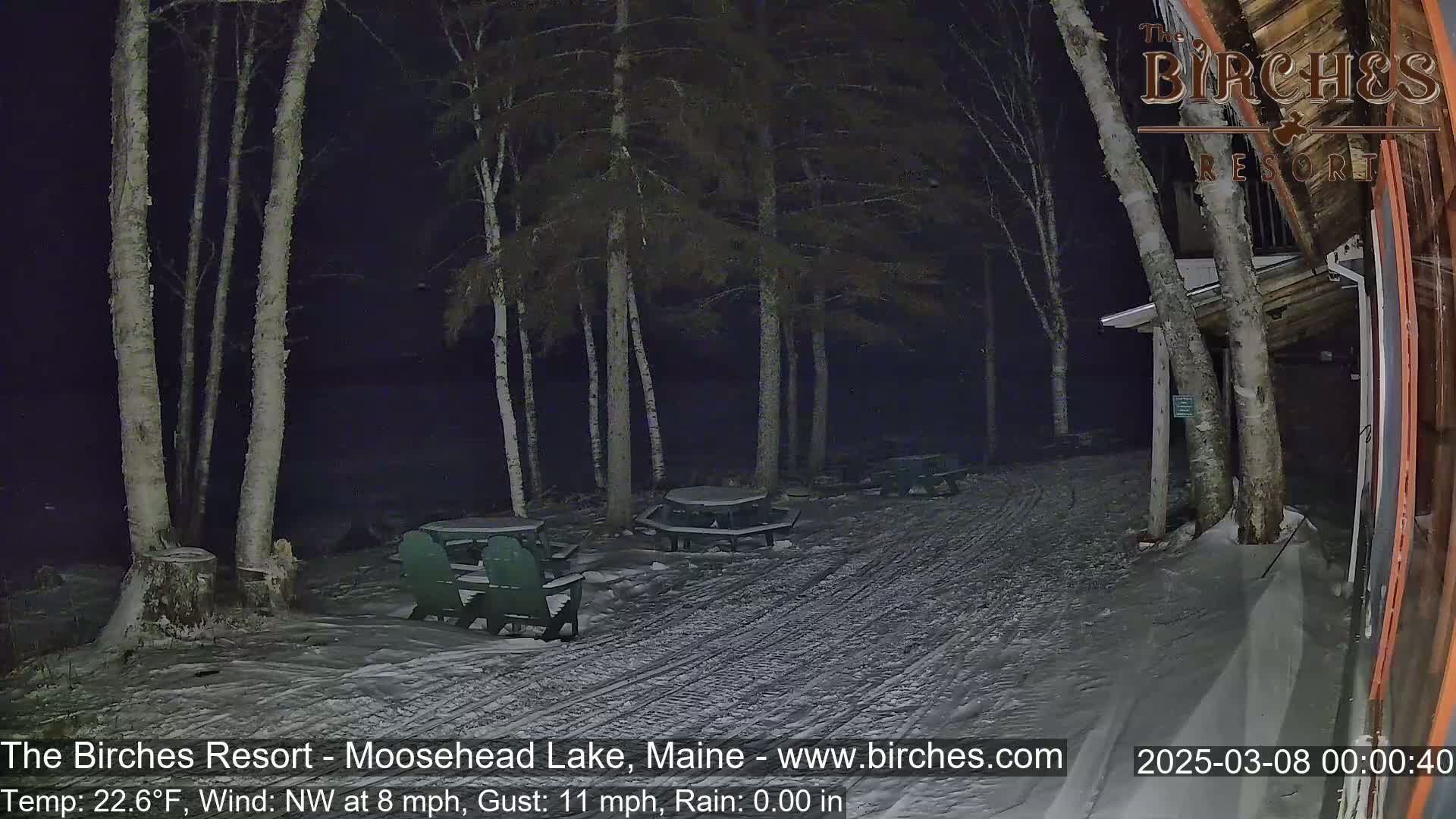 A snow-covered outdoor area at night, with several picnic tables and chairs under birch trees, shows a light snowfall in a northwest wind.