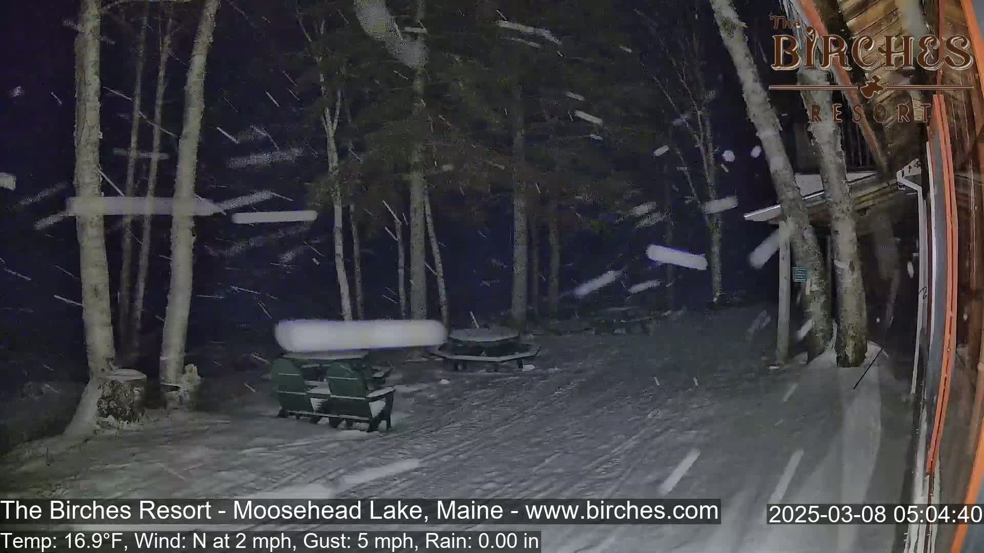 Snow falls heavily at night in a wooded area with picnic tables and chairs covered in snow.