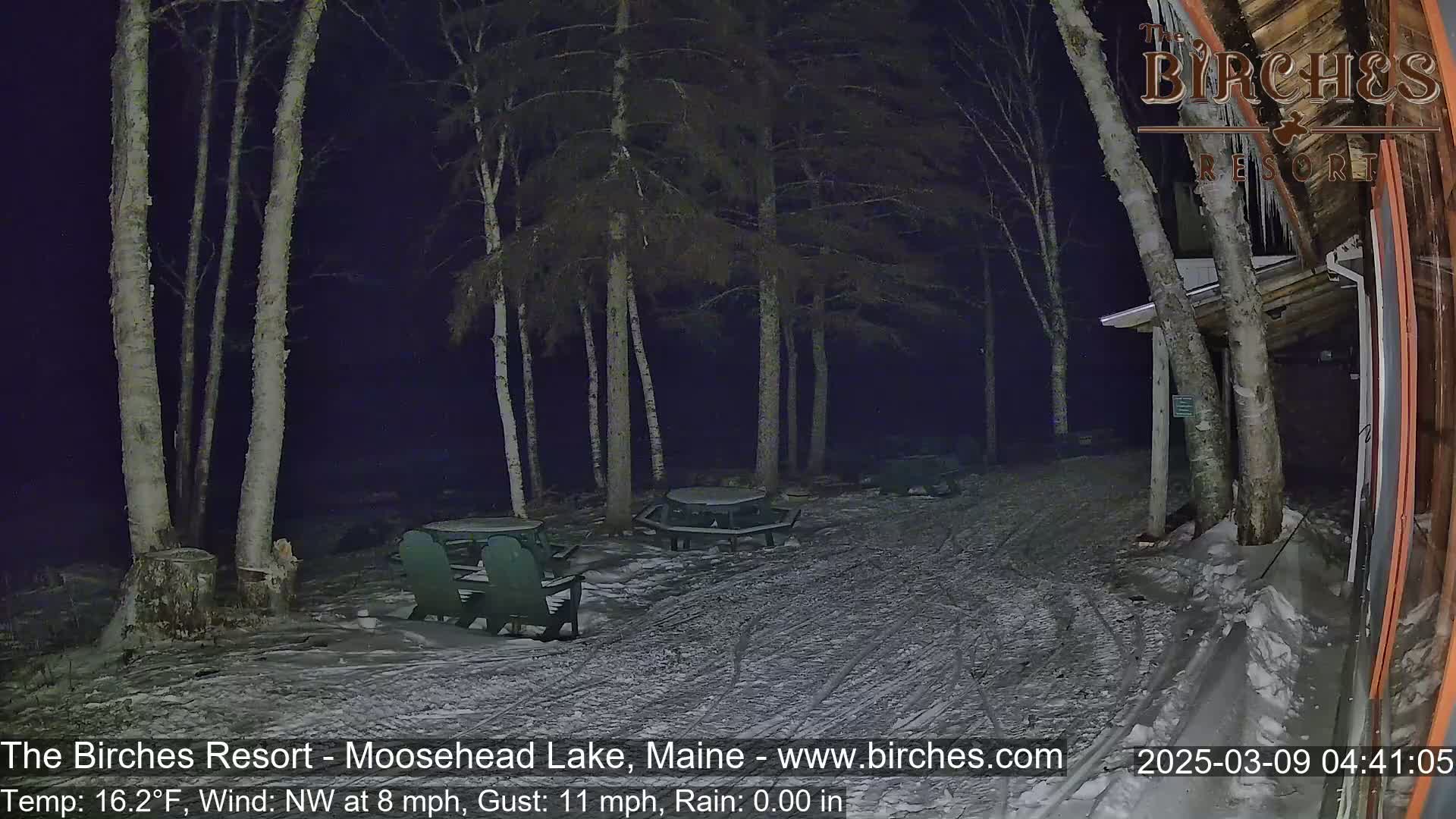 A snow-covered area at night, under a dark sky, shows several picnic tables and chairs near birch trees next to a building.