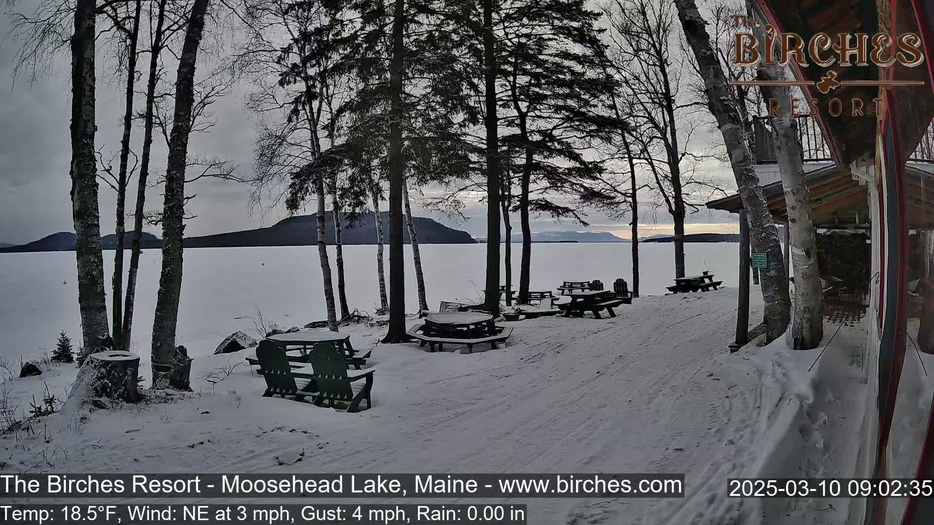 Several picnic tables covered in snow sit near a snow-covered lakeshore under a cloudy sky.