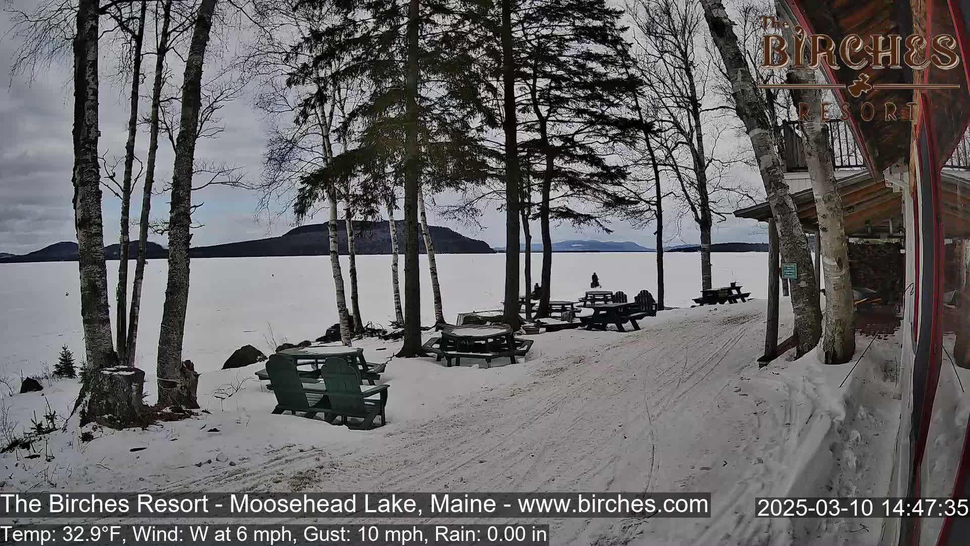 Several picnic tables sit in the snow near a snow-covered lakeshore under a cloudy sky, with bare trees and a building partially visible.