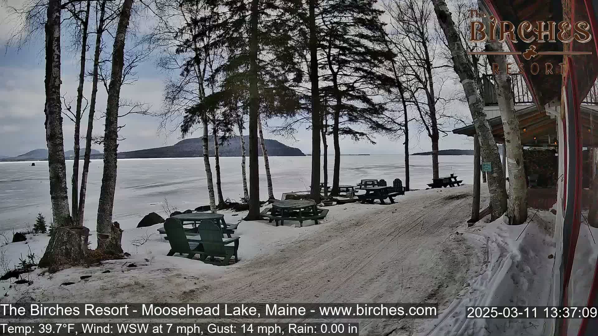 A snow-covered lakeside area with picnic tables and birch trees, overlooking a partially frozen lake under a cloudy sky.