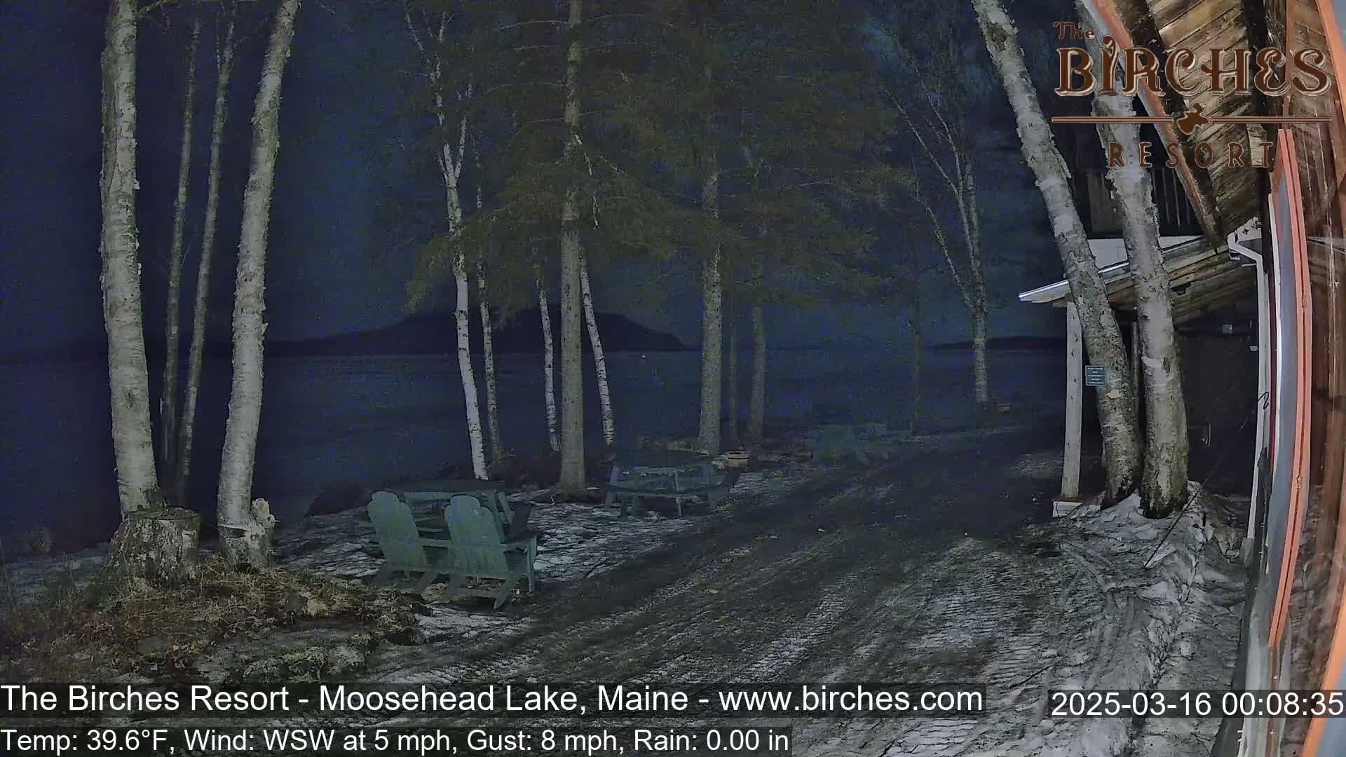 A nighttime view of a lakeside area with birch trees, empty Adirondack chairs, and a building under a dark sky with light rain.