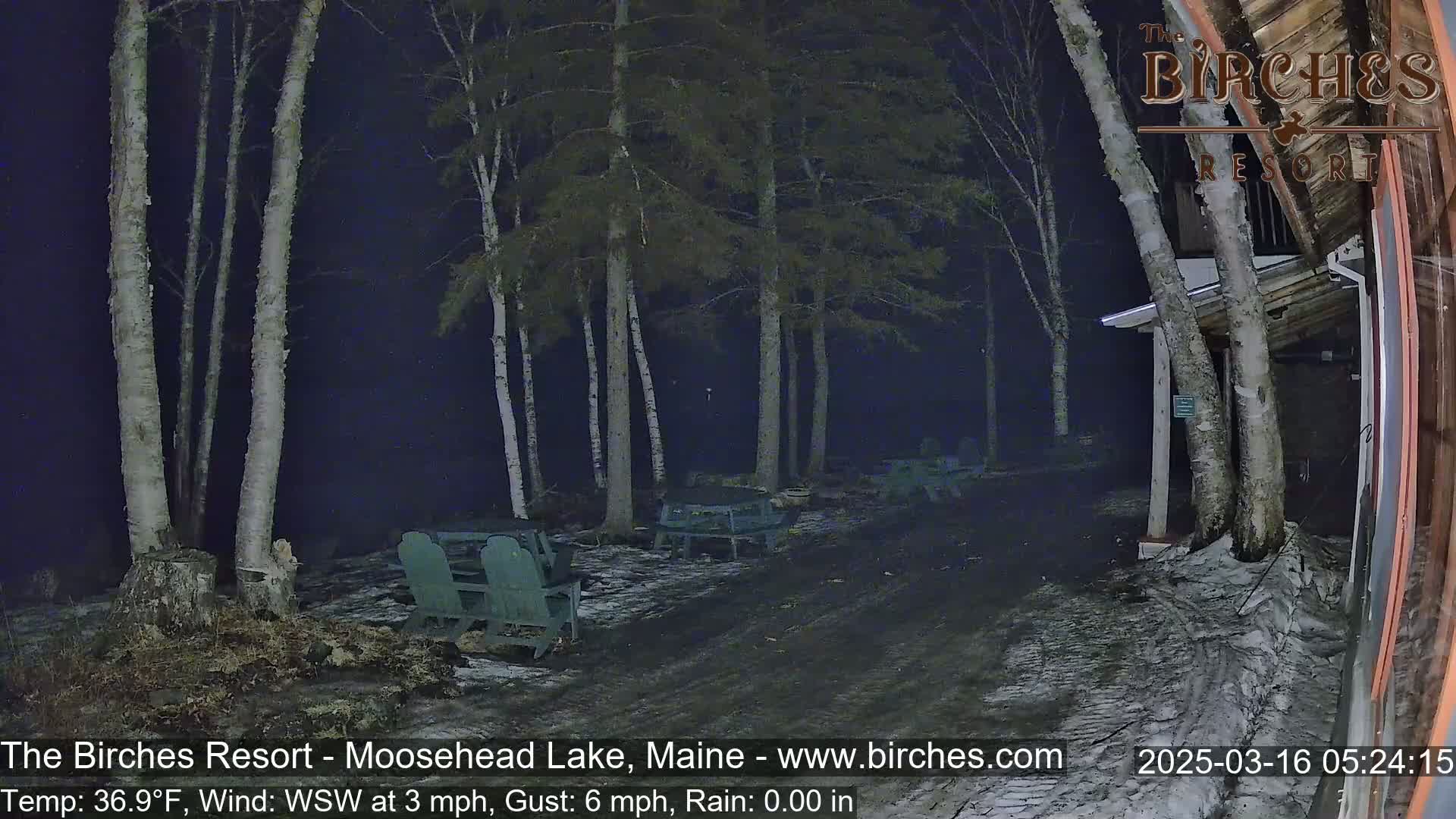 A nighttime scene shows a snow-dusted path leading to several empty Adirondack chairs and picnic tables under birch trees in the rain.