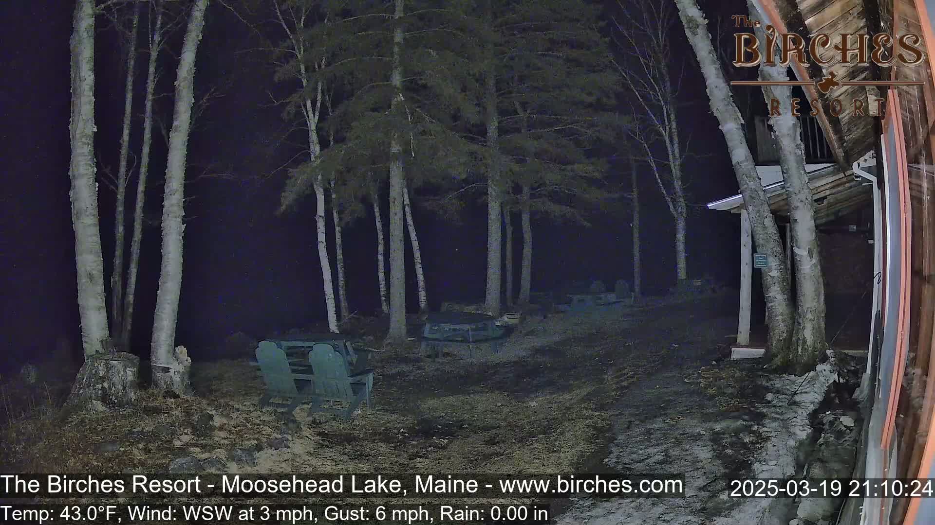 A nighttime outdoor scene shows a sparsely lit area with several chairs and tables near some birch trees under a dark, rainy sky.