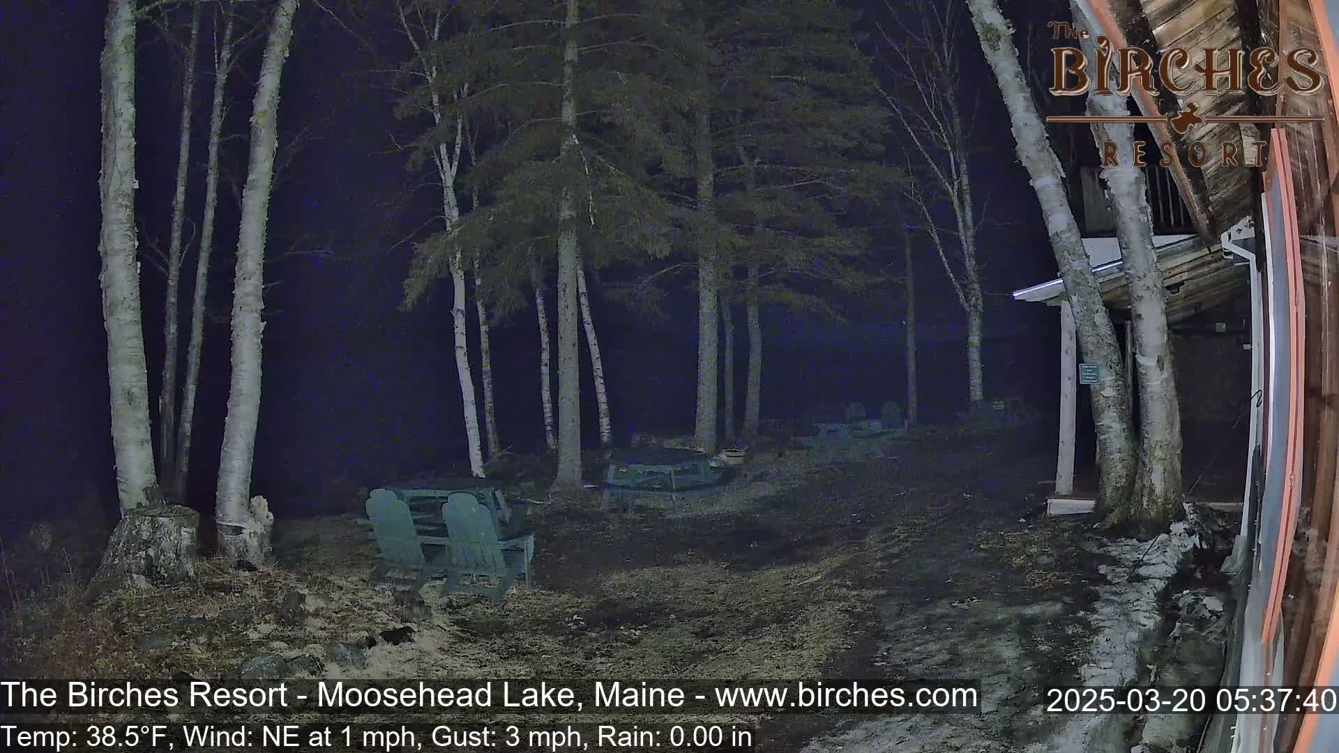 A nighttime view of a sparsely lit resort area with several empty chairs and tables situated near a building, surrounded by birch trees in calm weather.