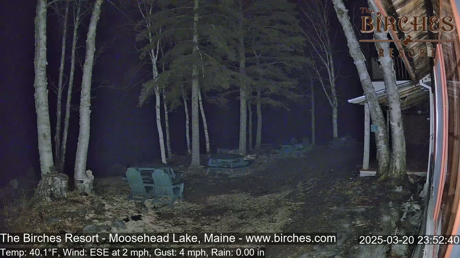 A nighttime outdoor scene shows a sparsely lit area with several chairs and tables near a building, surrounded by birch trees in the rain.