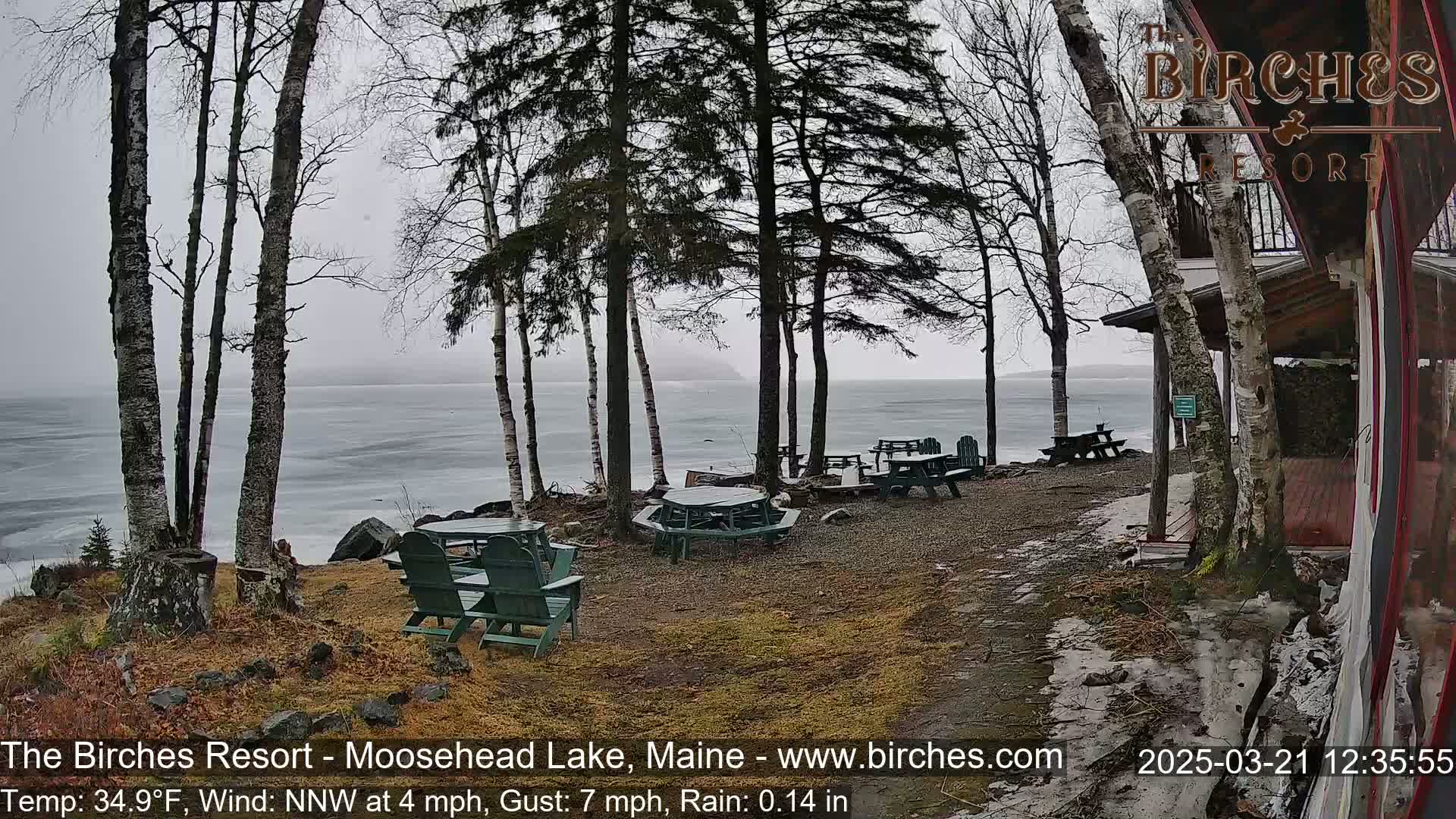 A lakeside patio with picnic tables and chairs sits under a gray sky with light rain, next to a building and several bare trees.